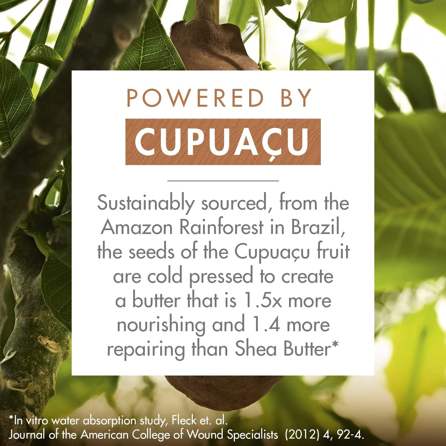 شامپو مغذی و ترمیم کننده مو کلوران حاوی کره کوپواچو ارگانیک 400 میلی لیتر