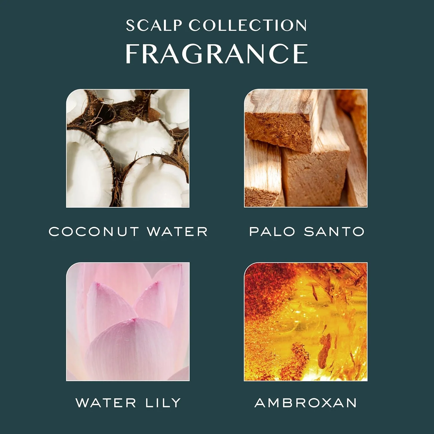 شامپو میسلار پاک کننده پوست سر کریستین اس برای آقایان و بانوان 295 میلی لیتر