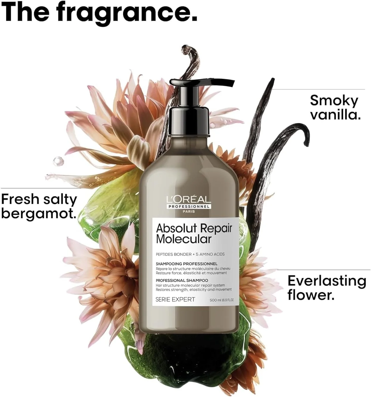 شامپو مو لورآل پروفشنال، Absolut Repair Molecular، بدون سولفات، ترمیم کننده آسیب و بازگرداننده استحکام، برای انواع موهای آسیب دیده، SERIE EXPERT، 500 میلی لیتر شامپو مو لورآل پروفشنال، Absolut Repair Molecular، بدون سولفات، ترمیم کننده آسیب و بازگرداننده استحکام، برای انواع موهای آسیب دیده، SERIE EXPERT، 500 میلی لیتر