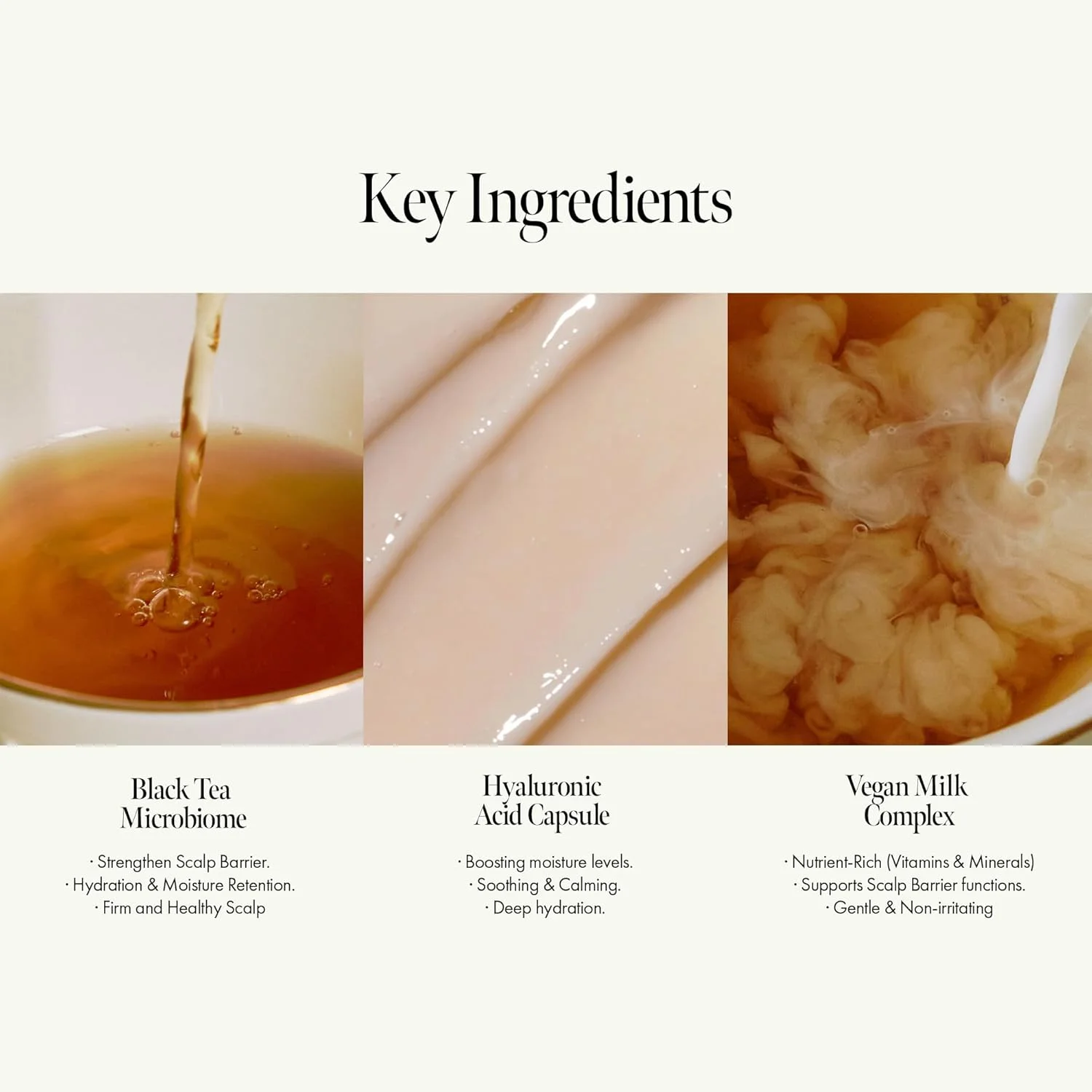 شامپو مغذی چای سیاه وگان برای پوست سر خشک و خارش دار، شامپو ضد شوره سر حاوی آمینو اسید برای تقویت سد پوست سر، رایحه چوبی کرمی، فاقد پارابن و سیلیکون، 450 میلی لیتر