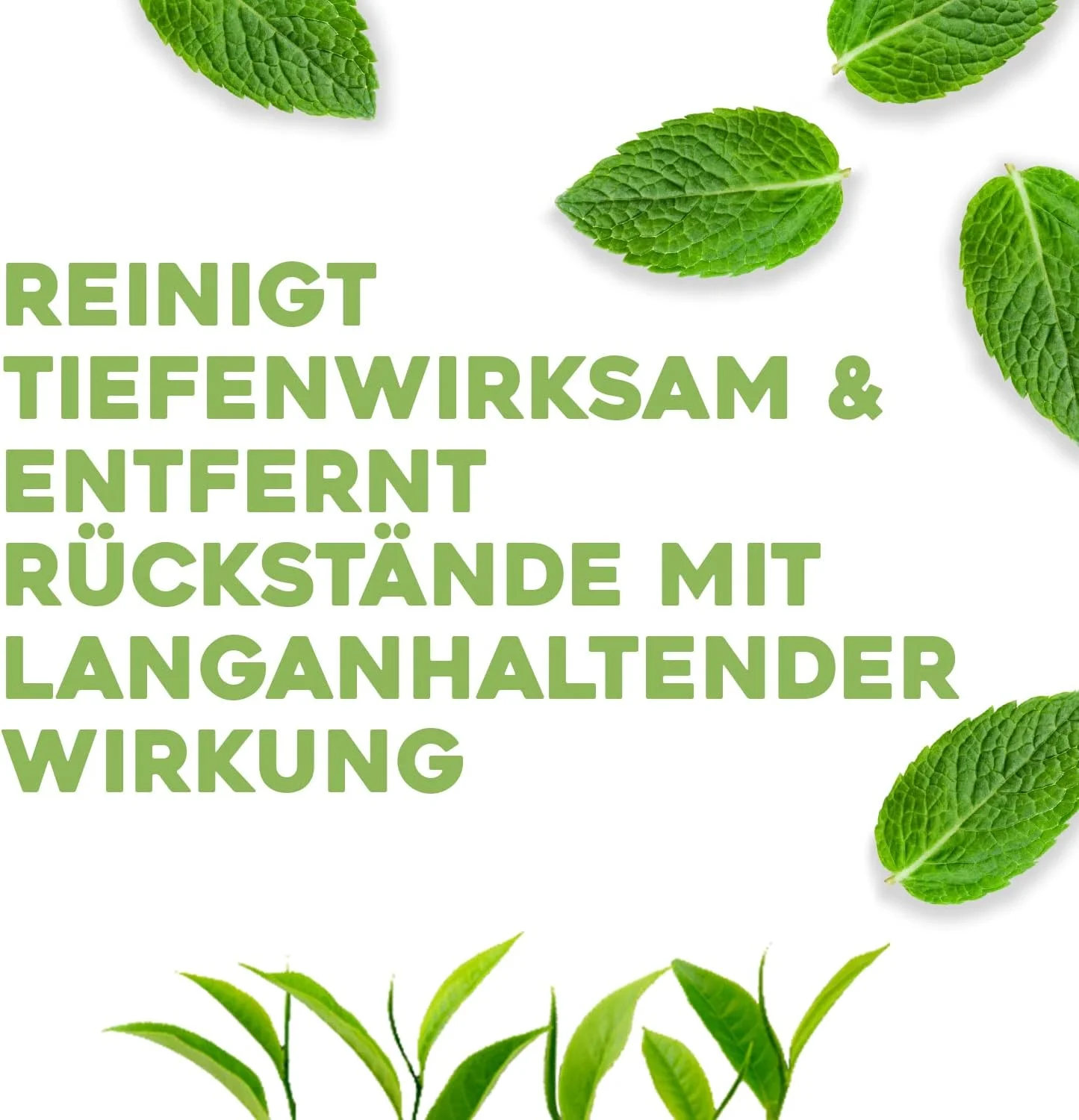 نرم کننده مو تی تری او جی ایکس برای موهای چرب، 385 میلی لیتر (تک بسته) نرم کننده مو تی تری او جی ایکس برای موهای چرب، 385 میلی لیتر (تک بسته)