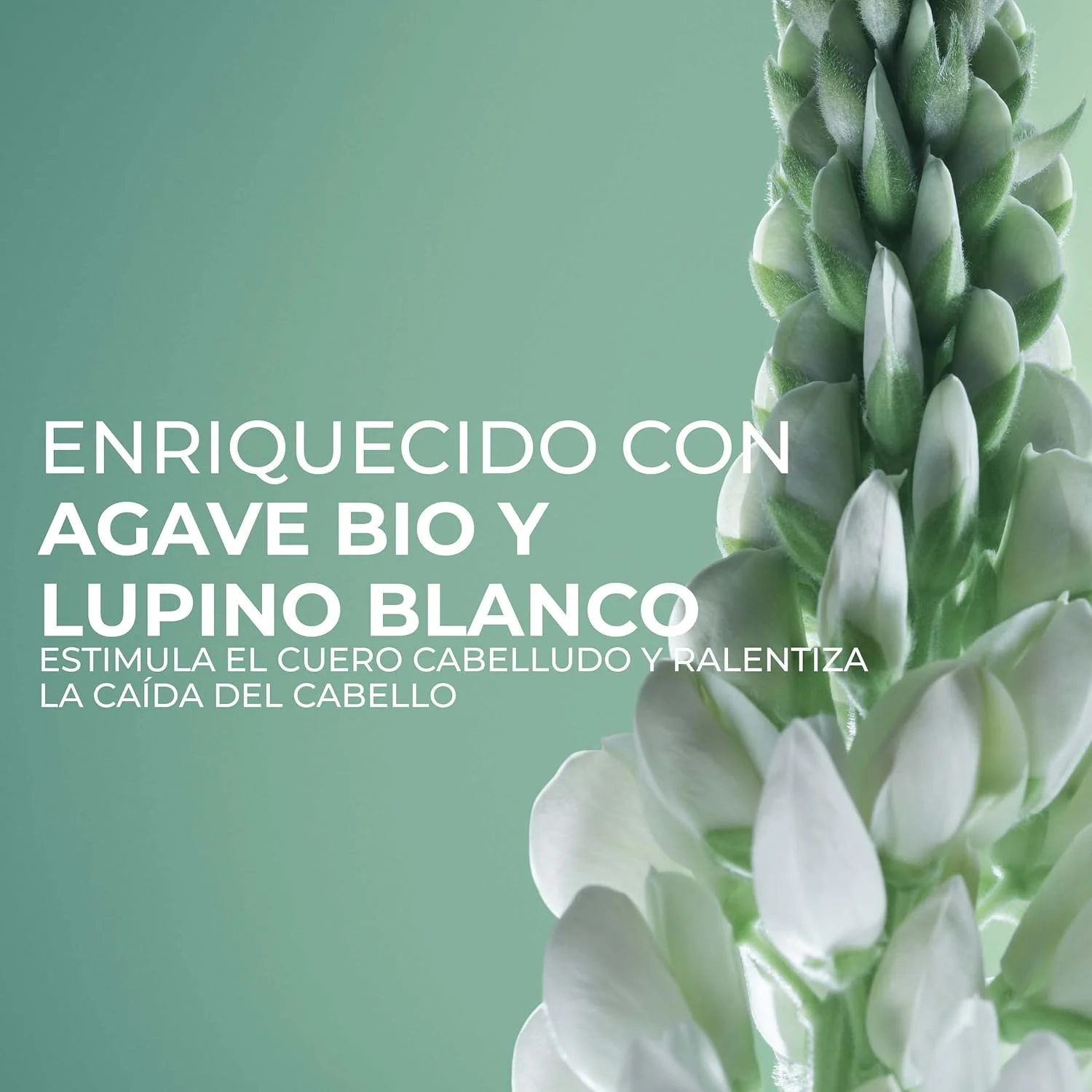 شامپو محرک رشد مو ایوروشه حاوی آگاو و لوپین سفید، مناسب موهای شکننده، بدون سولفات و سیلیکون، 300 میلی لیتر