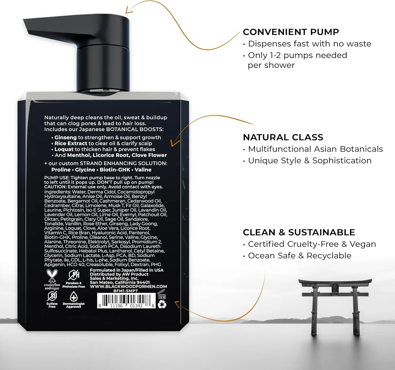 شامپو روزانه مردانه اکتیو من بلک وود - شامپو گیاهی طبیعی ضخیم کننده و شفاف کننده مردانه برای مو و پوست سر معمولی تا چرب - مبارزه با ریزش مو - بدون سولفات با جینسینگ و آلوئه ورا (207 میلی لیتر)