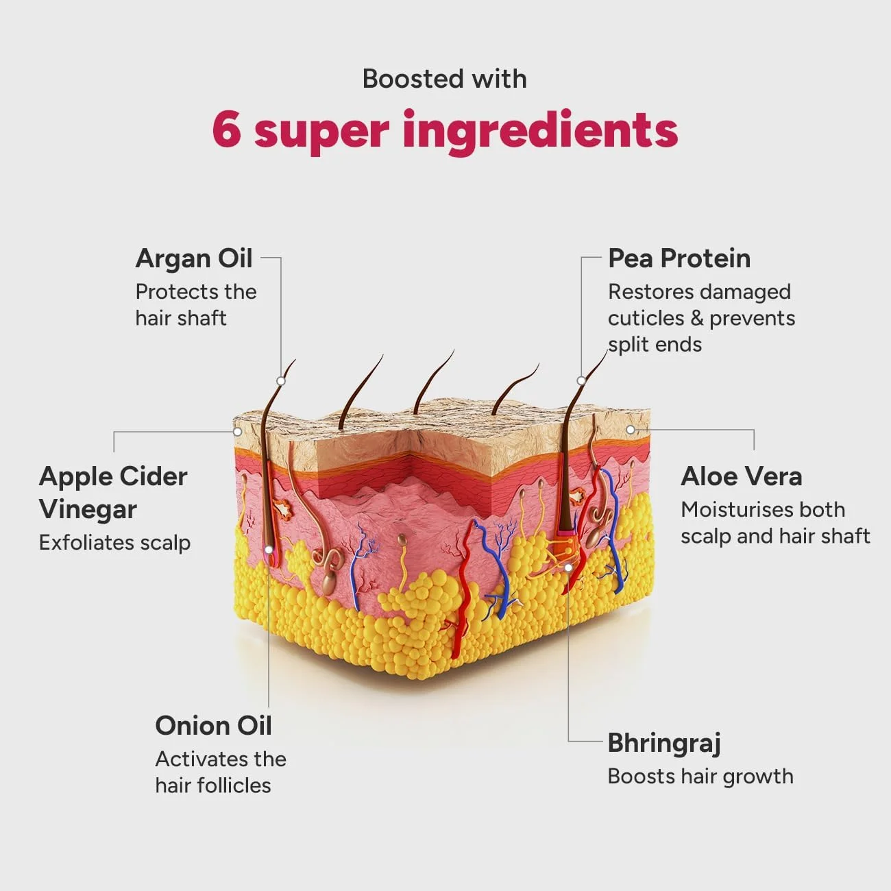 شامپو فوق العاده 5 در 1 احیا کننده و ضد ریزش موی طبیعی آراتا حاوی روغن پیاز، برینگراج، سرکه سیب، روغن آرگان و آلوئه ورا برای زنان و مردان (شامپو)