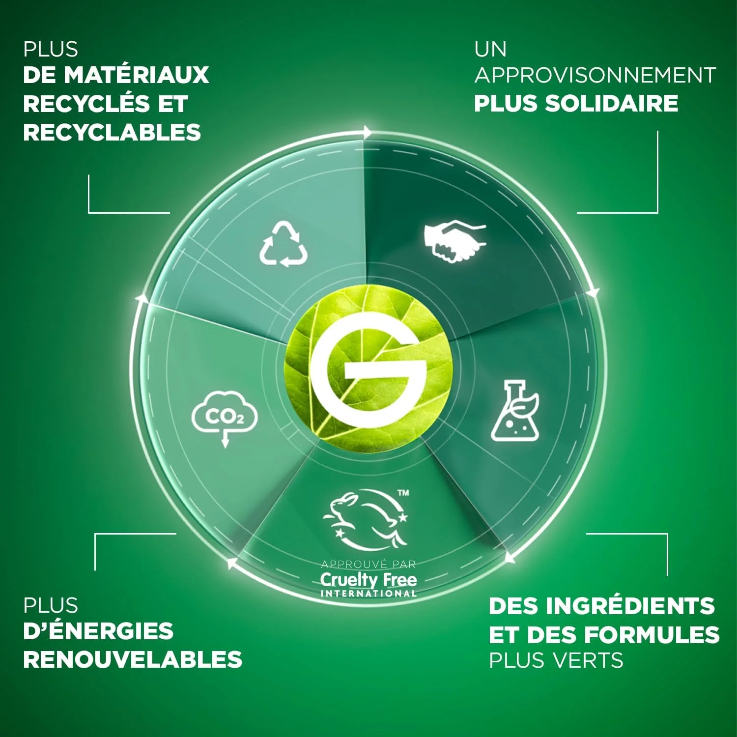 شامپو ضد شوره سر 2 در 1 گارنیه Fructis با عصاره چای سبز 300 میلی لیتر شامپو ضد شوره سر 2 در 1 گارنیه Fructis با عصاره چای سبز 300 میلی لیتر