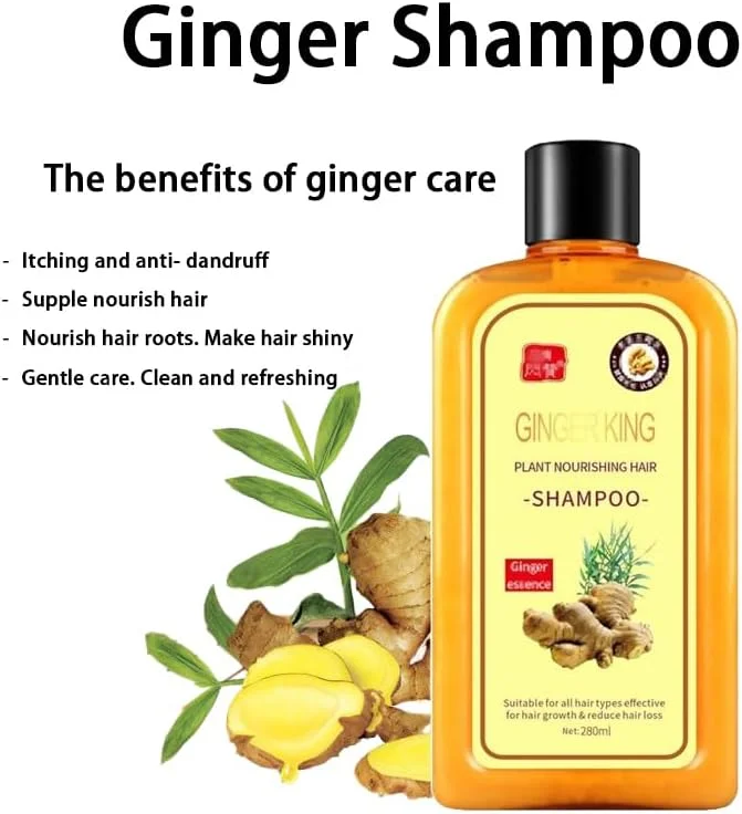 شامپو زنجبیل فوری Lomnoeza Ginaday برای رشد مجدد مو، شامپو زنجبیل برای رشد مو، شامپو مراقبت از مو زنجبیل، شامپو ضد ریزش مو زنجبیل (280 میلی لیتر/1 عدد) شامپو زنجبیل فوری Lomnoeza Ginaday برای رشد مجدد مو، شامپو زنجبیل برای رشد مو، شامپو مراقبت از مو زنجبیل، شامپو ضد ریزش مو زنجبیل (280 میلی لیتر/1 عدد)