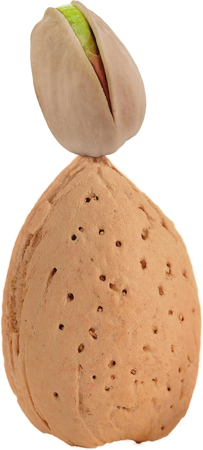 شامپو نرم کننده ناتورالیوم با رایحه بادام و پسته - صابون مایع برای موهای معمولی و خشک، بدون رنگ و پارابن، 400 میلی لیتر شامپو نرم کننده ناتورالیوم با رایحه بادام و پسته - صابون مایع برای موهای معمولی و خشک، بدون رنگ و پارابن، 400 میلی لیتر