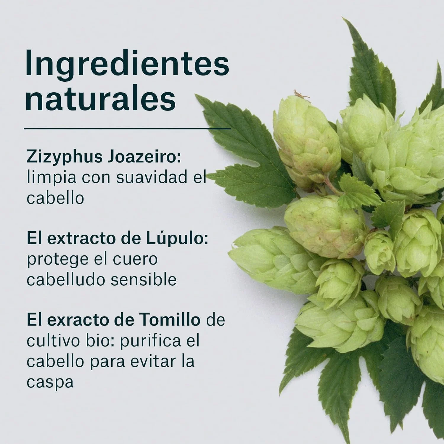 شامپو ضد شوره موهای معمولی ناتور ویتال - 300 میلی لیتر شامپو ضد شوره موهای معمولی ناتور ویتال - 300 میلی لیتر