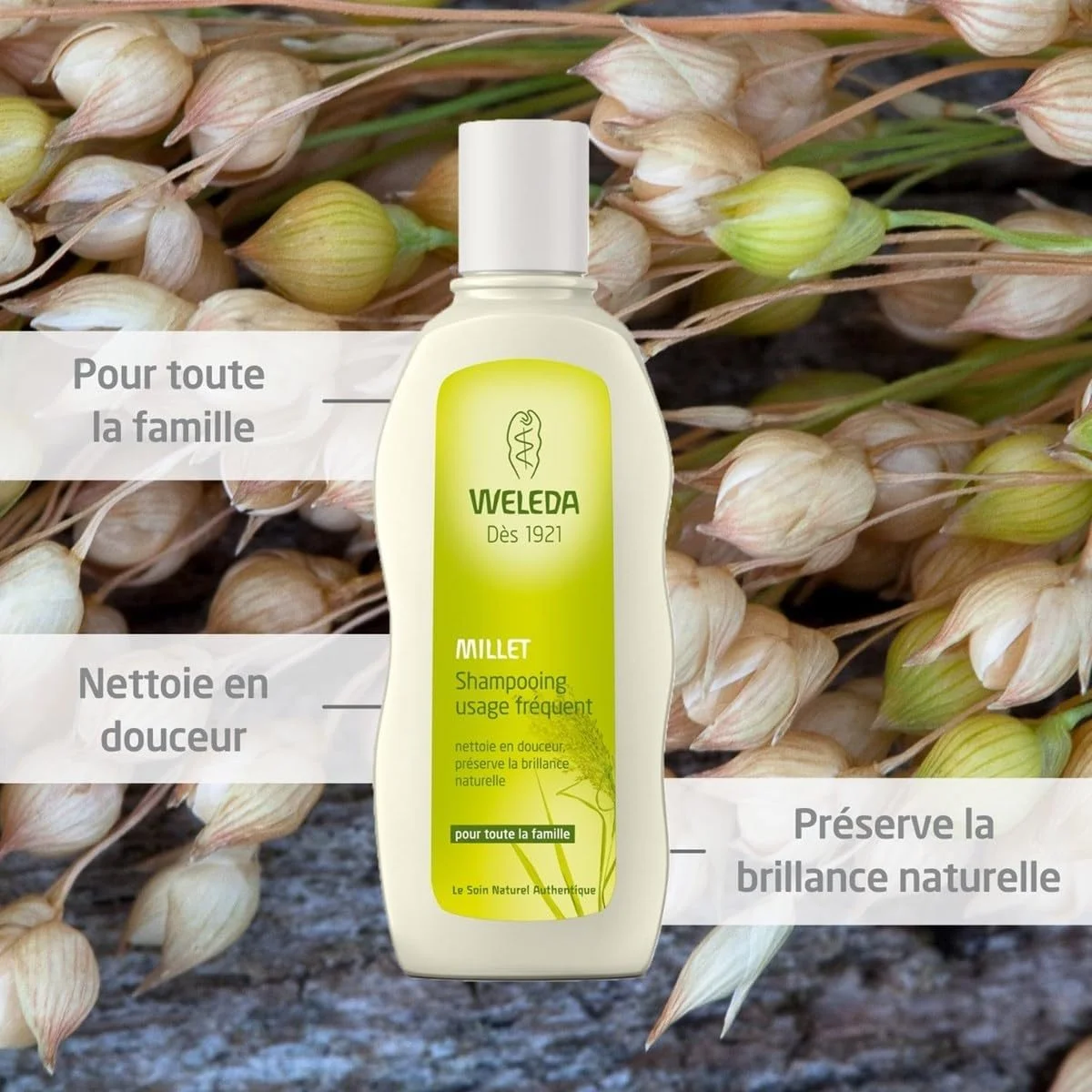 شامپو مغذی ارزن Weleda 190 میلی لیتر شامپو مغذی ارزن Weleda 190 میلی لیتر