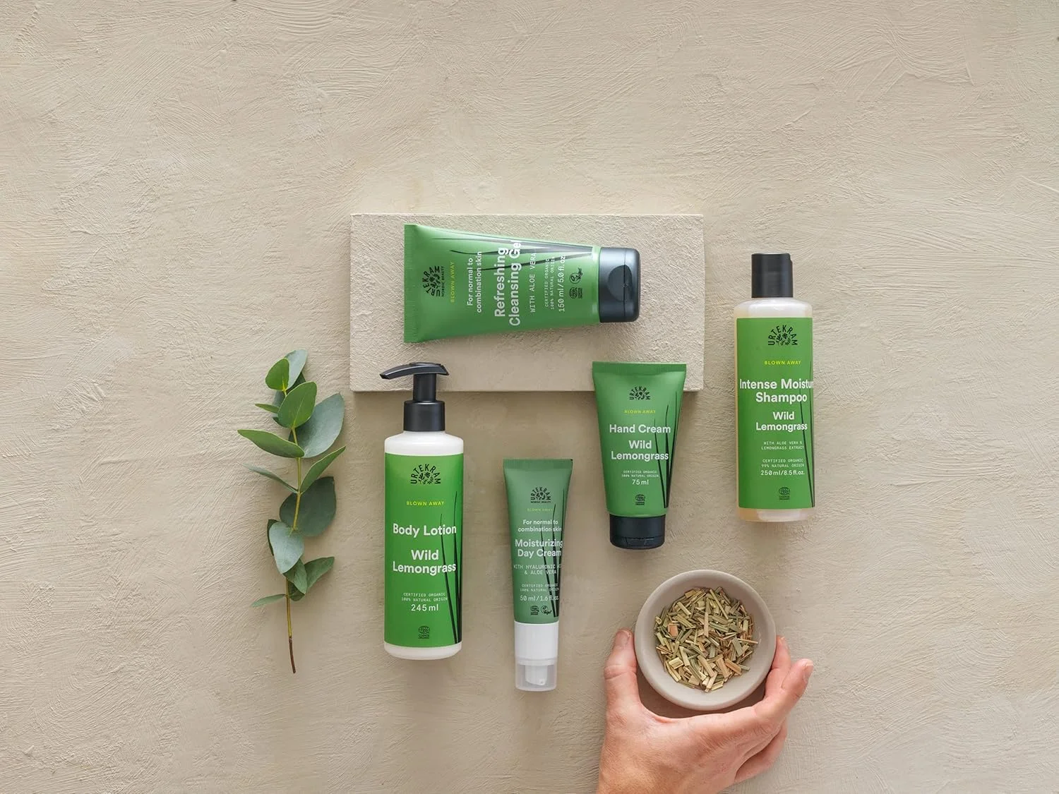 شامپو مرطوب کننده موهای معمولی Urtekram با رایحه لیمو وحشی، 250 میلی لیتر | حاوی عصاره آلوئه ورا و علف لیمو | 100% ارگانیک | وگان شامپو مرطوب کننده موهای معمولی Urtekram با رایحه لیمو وحشی، 250 میلی لیتر | حاوی عصاره آلوئه ورا و علف لیمو | 100% ارگانیک | وگان