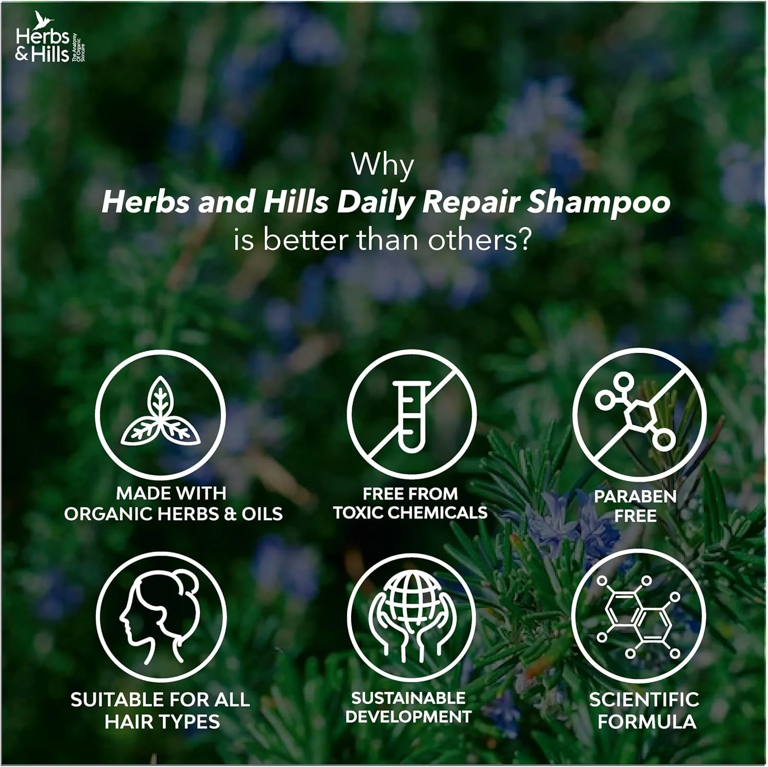 شامپو ترمیم کننده روزانه گیاهان و تپه ها 250 میلی لیتر حاوی روغن چریش، گل بامیه و جوجوبا، نتایج صاف، براق و نرم برای موهای معمولی تا خشک، جلوگیری از ریزش مو، مبارزه با قارچ و عفونت پوست سر شامپو ترمیم کننده روزانه گیاهان و تپه ها 250 میلی لیتر حاوی روغن چریش، گل بامیه و جوجوبا، نتایج صاف، براق و نرم برای موهای معمولی تا خشک، جلوگیری از ریزش مو، مبارزه با قارچ و عفونت پوست سر