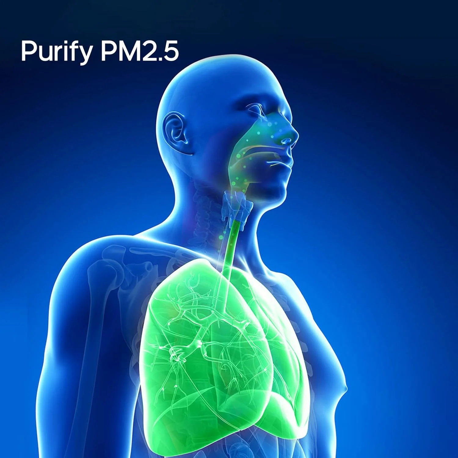 تصفیه کننده هوای گردنبندی قابل حمل Pepisky، تصفیه هوا با گردش هوا، USB ایمن برای مادران باردار و نوزادان