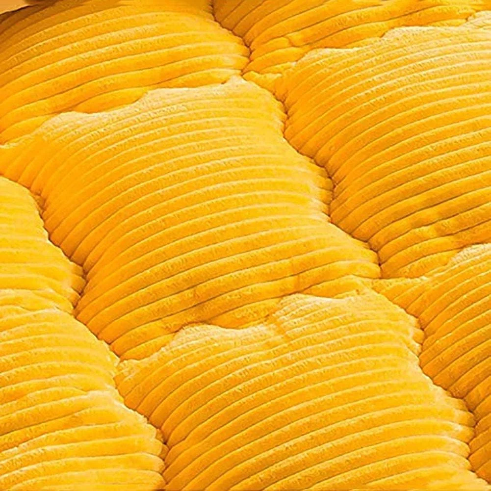 تشک فوتون تاتامی کشمیری شیری تاشو ژاپنی WABHDN، تشک نرم و ضخیم، زرد، یک نفره تشک فوتون تاتامی کشمیری شیری تاشو ژاپنی WABHDN، تشک نرم و ضخیم، زرد، یک نفره