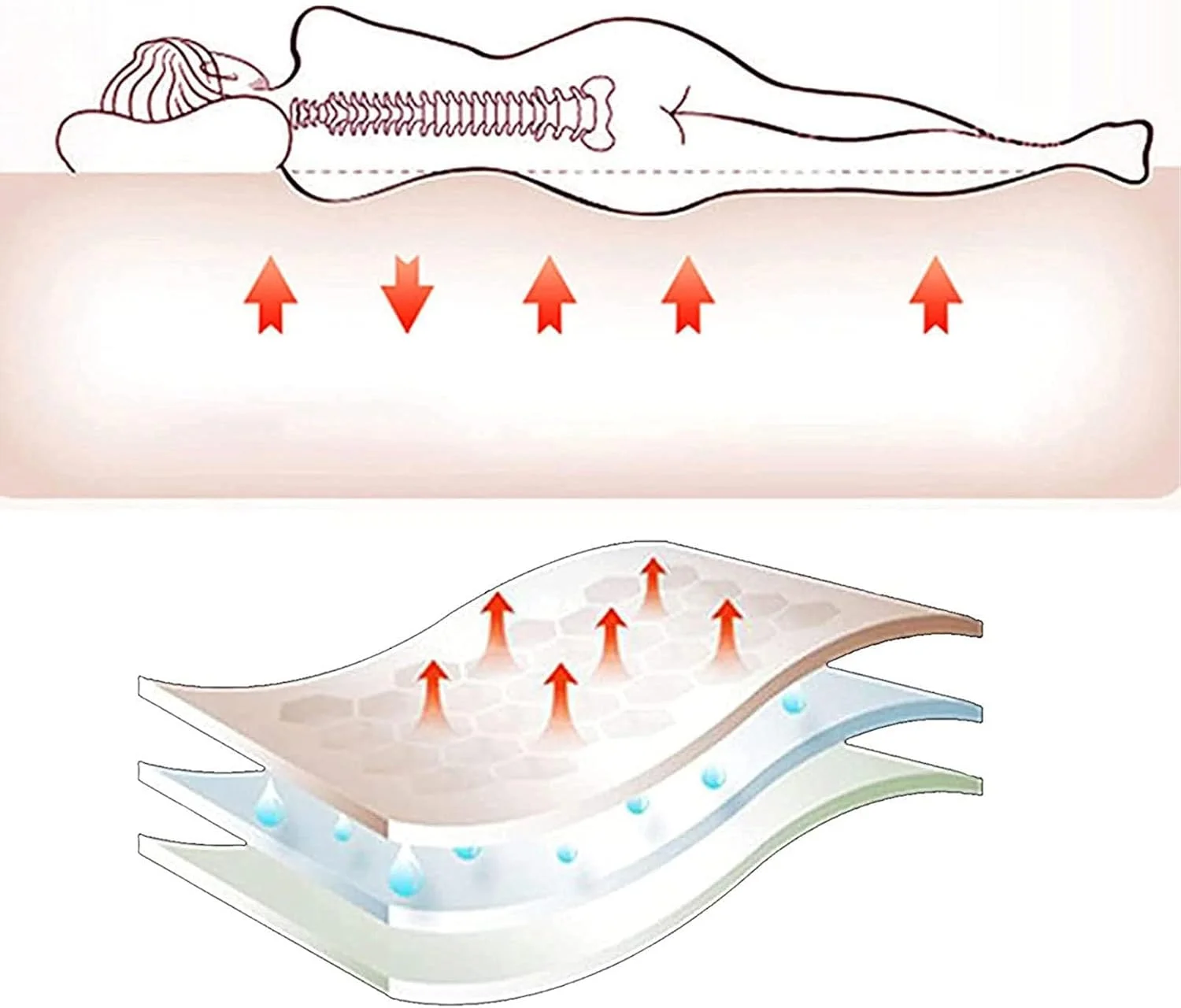 تشک تاتامی، فوتون ژاپنی، پد تخت خواب، تشک تاشو خوابگاه دانشجویی (رنگ: B، سایز: 200 x 200 سانتی متر (79 x 79 اینچ)) تشک تاتامی، فوتون ژاپنی، پد تخت خواب، تشک تاشو خوابگاه دانشجویی (رنگ: B، سایز: 200 x 200 سانتی متر (79 x 79 اینچ))