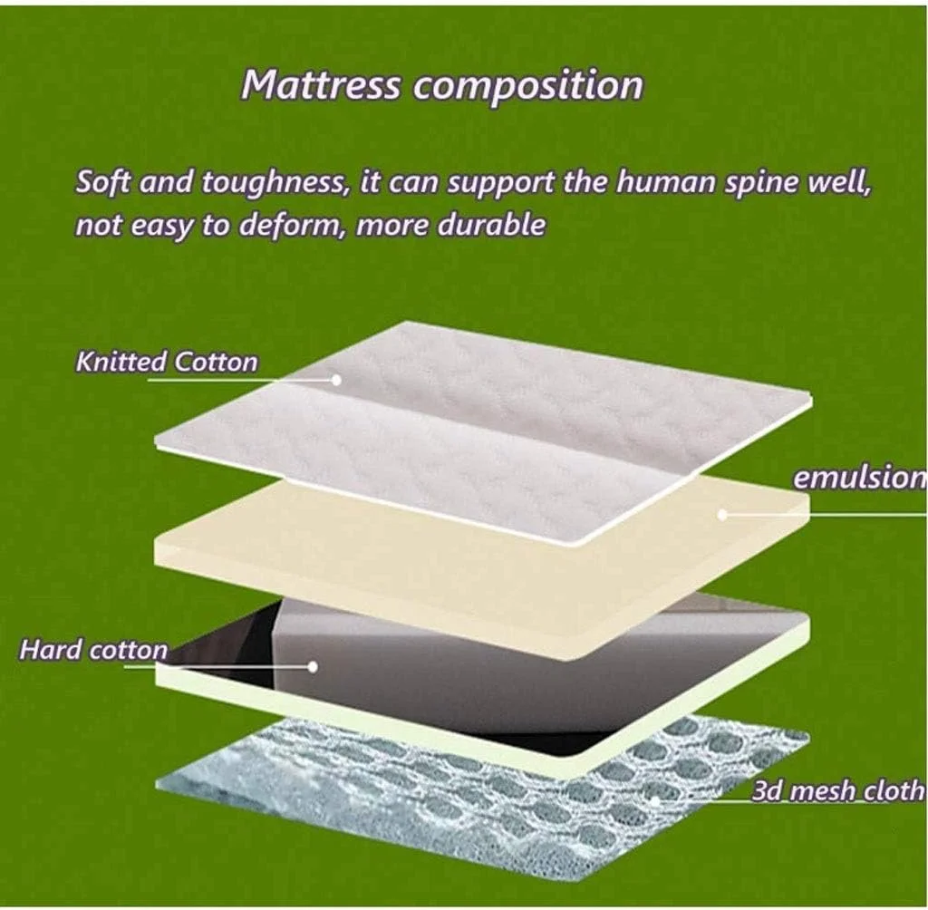 تشک ضخیم کف اتاق xYzlxtC، تشک فوتون تاتامی سبک ژاپنی با قابلیت تنفس و برگشت پذیری آهسته، تشک خواب تاشو و قابل حمل، تشک خوابگاهی دانشجویی تشک ضخیم کف اتاق xYzlxtC، تشک فوتون تاتامی سبک ژاپنی با قابلیت تنفس و برگشت پذیری آهسته، تشک خواب تاشو و قابل حمل، تشک خوابگاهی دانشجویی