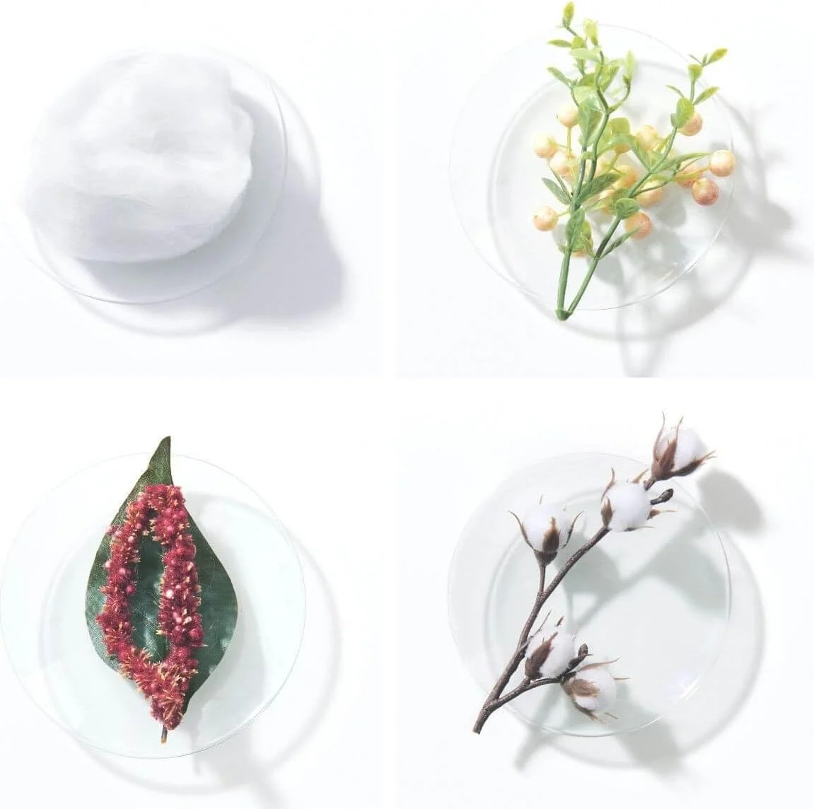 شامپو غنی کننده موهای بلوند شوارتسکف پروفشنال بلوند می 300 میلی لیتر شامپو غنی کننده موهای بلوند شوارتسکف پروفشنال بلوند می 300 میلی لیتر