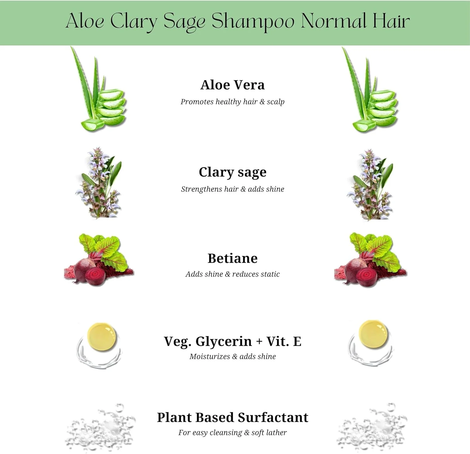 شامپو آلوئه ورا و مریم گلی روستیک آرت مناسب انواع مو | بدون سولفات و پارابن | زیست تخریب پذیر، ارگانیک | (210 گرم) شامپو آلوئه ورا و مریم گلی روستیک آرت مناسب انواع مو | بدون سولفات و پارابن | زیست تخریب پذیر، ارگانیک | (210 گرم)