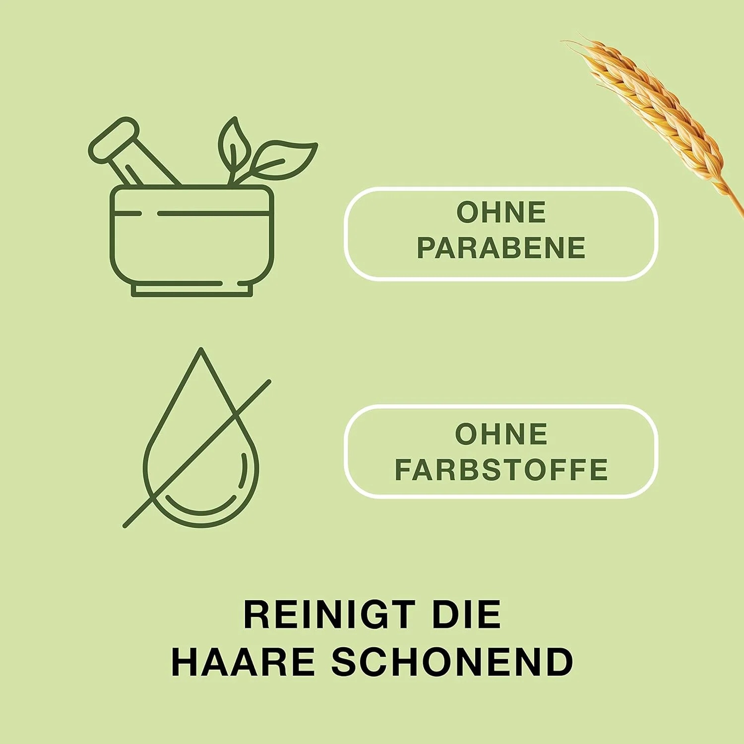 شامپو پریورین - شامپو مو برای تقویت مو - مراقبت مکمل برای موهای ضعیف و نازک - فاقد پارابن و رنگ - 1 عدد 200 میلی لیتر