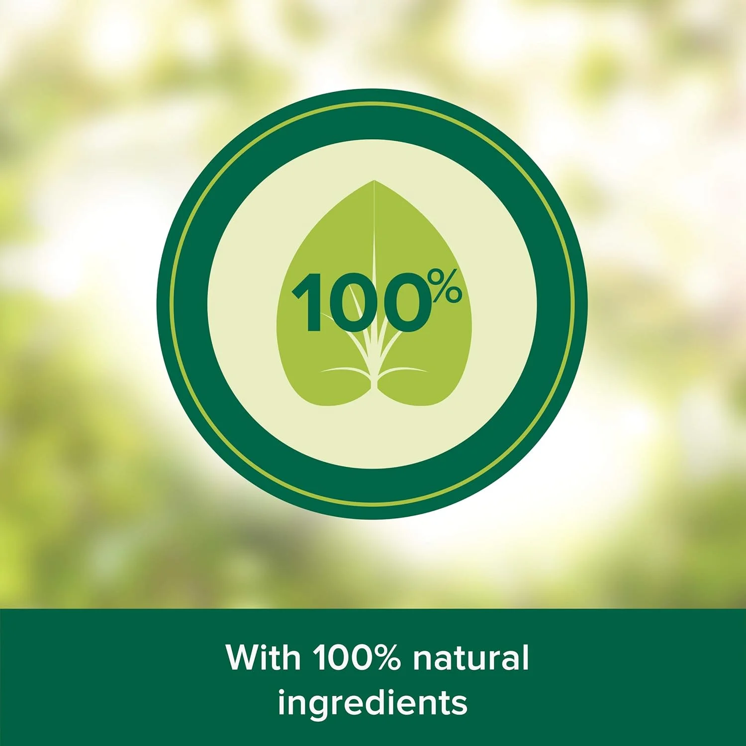 شامپو پالمولیو Pure and Fresh برای موهای معمولی، مواد تشکیل دهنده 100% طبیعی، شامپو سیب، 380 میلی لیتر