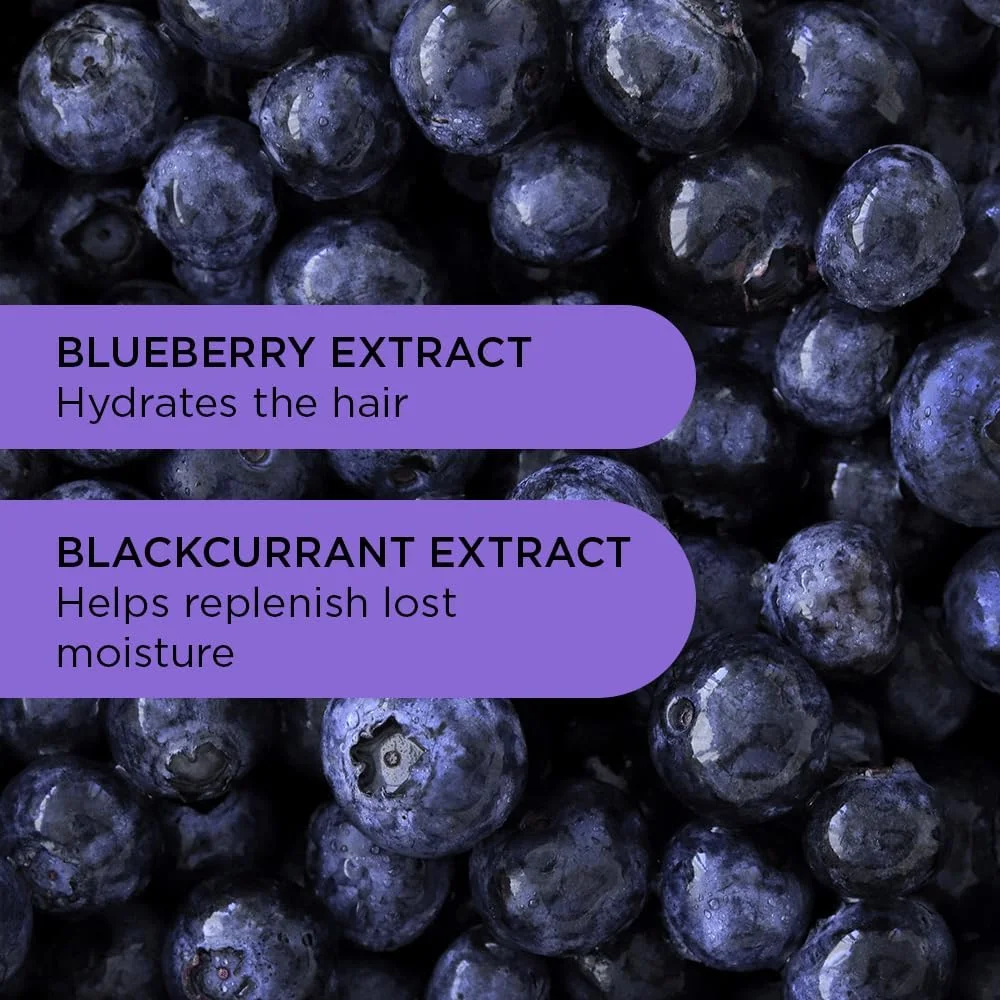 شامپو تصحیح کننده رنگ مو بنفش ناگتی با 97% مواد طبیعی برای موهای بلوند، خاکستری یا نقره ای، از بین برنده رنگ های زرد و نارنجی با بلوبری و انگور فرنگی سیاه، مراقبت از مو وگان و بدون سولفات، 250 میلی لیتر شامپو تصحیح کننده رنگ مو بنفش ناگتی با 97% مواد طبیعی برای موهای بلوند، خاکستری یا نقره ای، از بین برنده رنگ های زرد و نارنجی با بلوبری و انگور فرنگی سیاه، مراقبت از مو وگان و بدون سولفات، 250 میلی لیتر