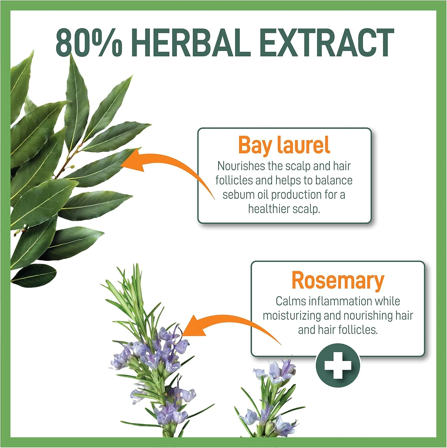 شامپو گیاهی مردانه موراز برای موهای معمولی - شامپو شفاف کننده - شامپو پاک کننده و مرطوب کننده - شامپو تقویت کننده ریشه مو برای آقایان - 500 میلی لیتر