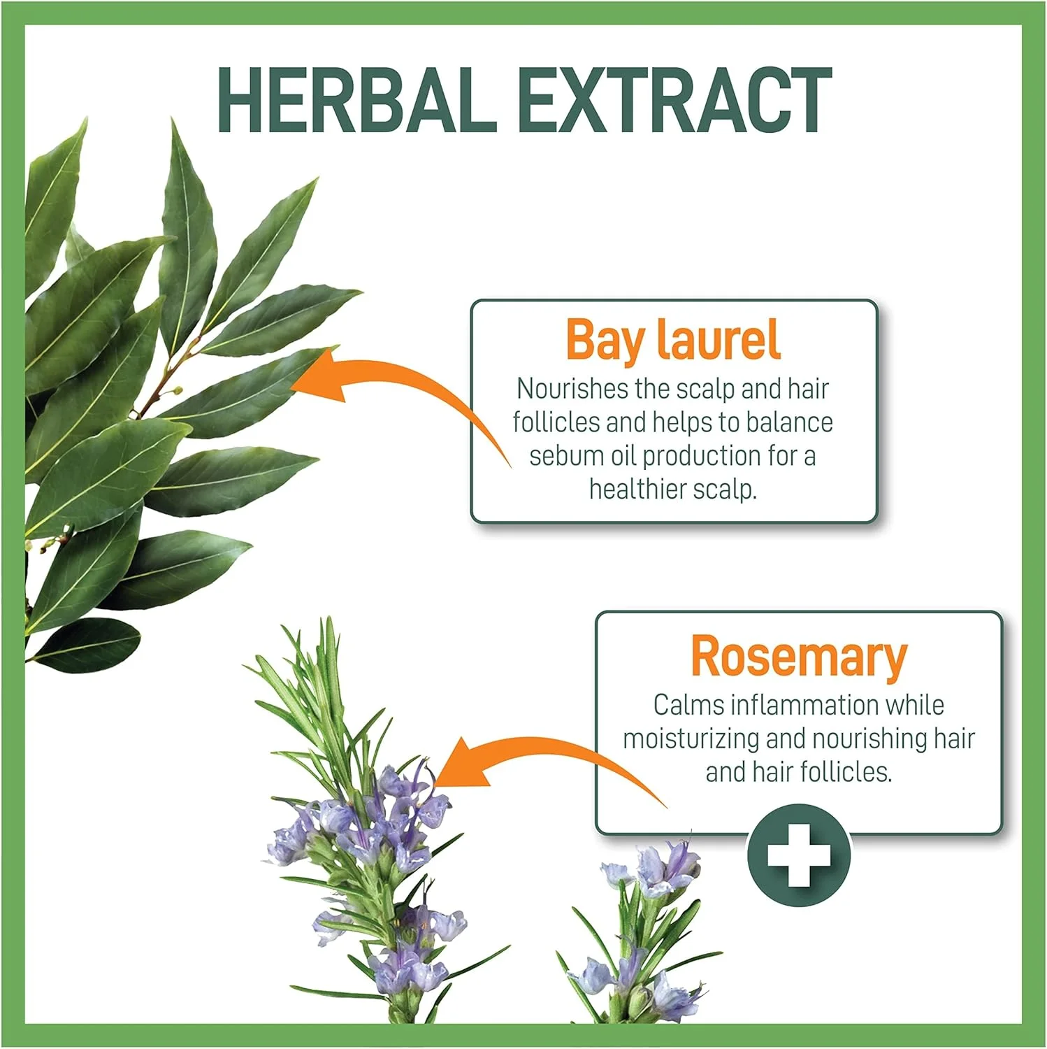 شامپو گیاهی موراز برای موهای معمولی تا چرب - شامپو مرطوب کننده ضد وز - به آرامی پوست سر را تمیز و تغذیه می کند - شامپو شفاف کننده - 500 میلی لیتر