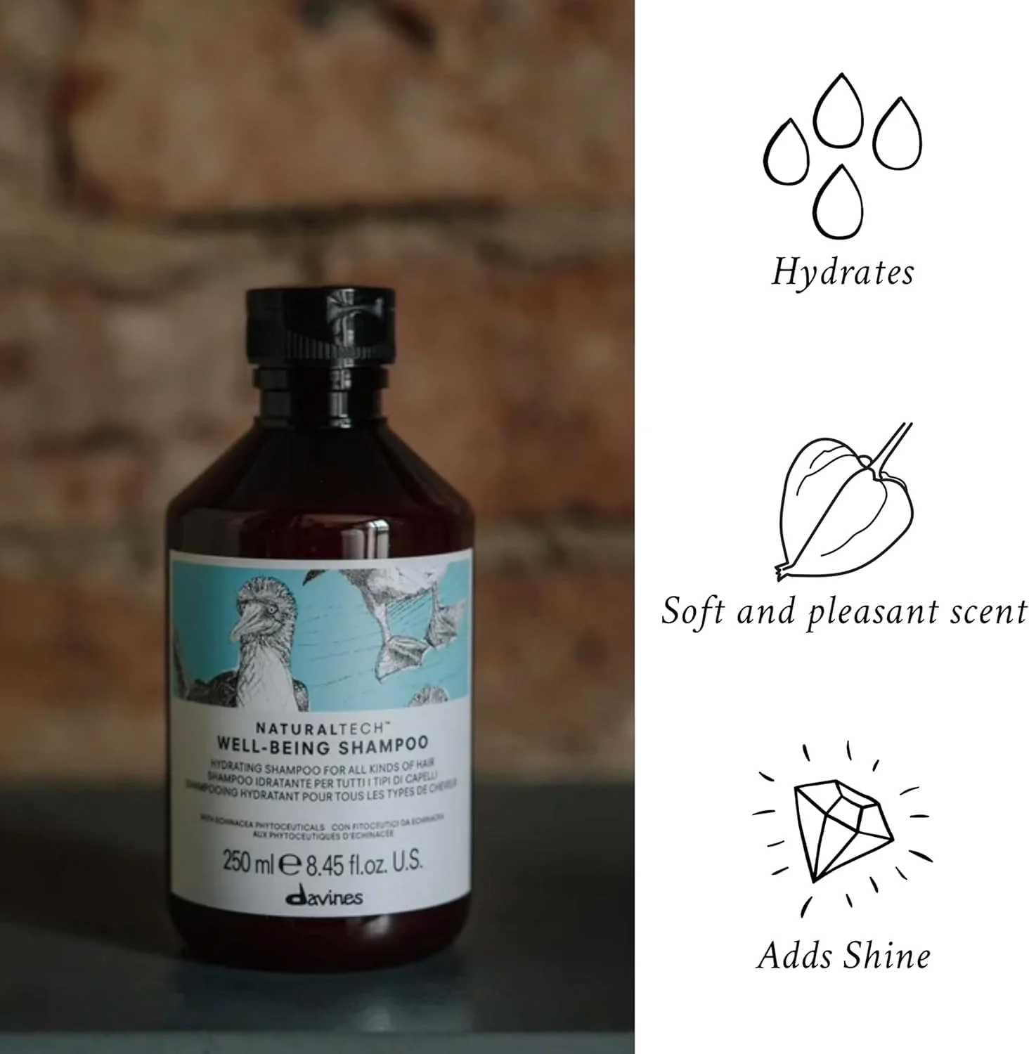 شامپو Naturaltech Well-Being داوینس مناسب برای آقایان و بانوان - 250 میلی لیتر