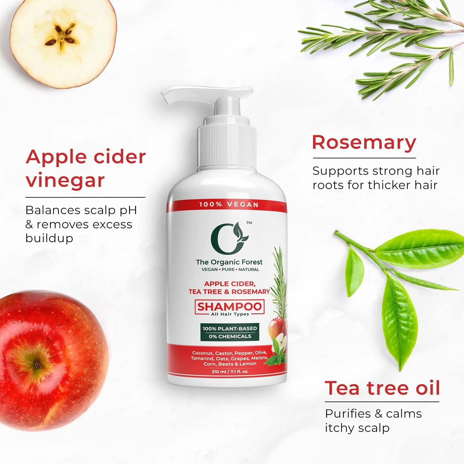 شامپو سرکه سیب، درخت چای و رزماری 100% گیاهی | بدون مواد شیمیایی، سولفات و پارابن، ارگانیک و طبیعی برای موهای چرب