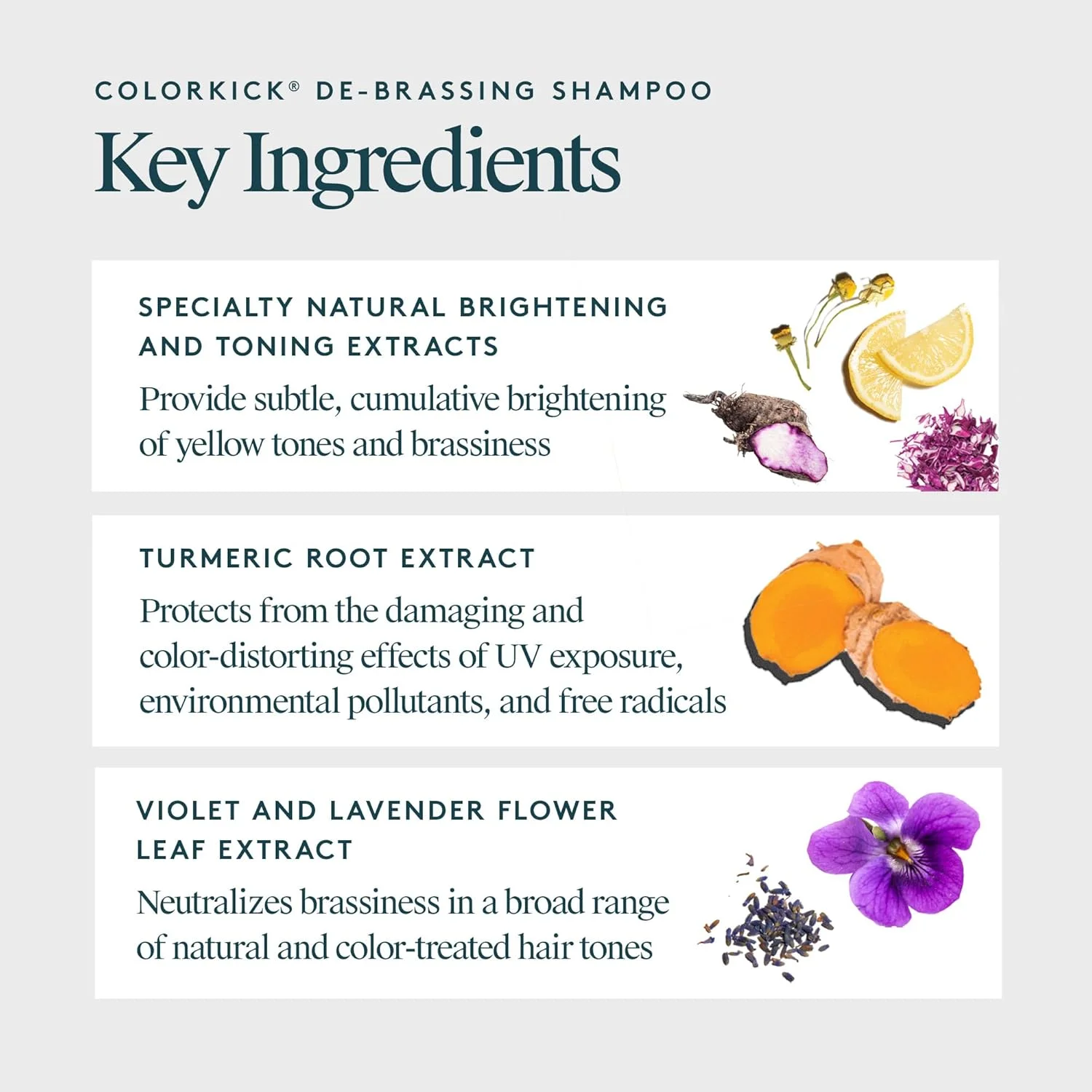 شامپو ضد زردی و نارنجی شدن ویرچو، تونر رنگ طبیعی، روشن کننده و احیا کننده موهای رنگ شده، ColorKick، ۲۴۰ میلی لیتر