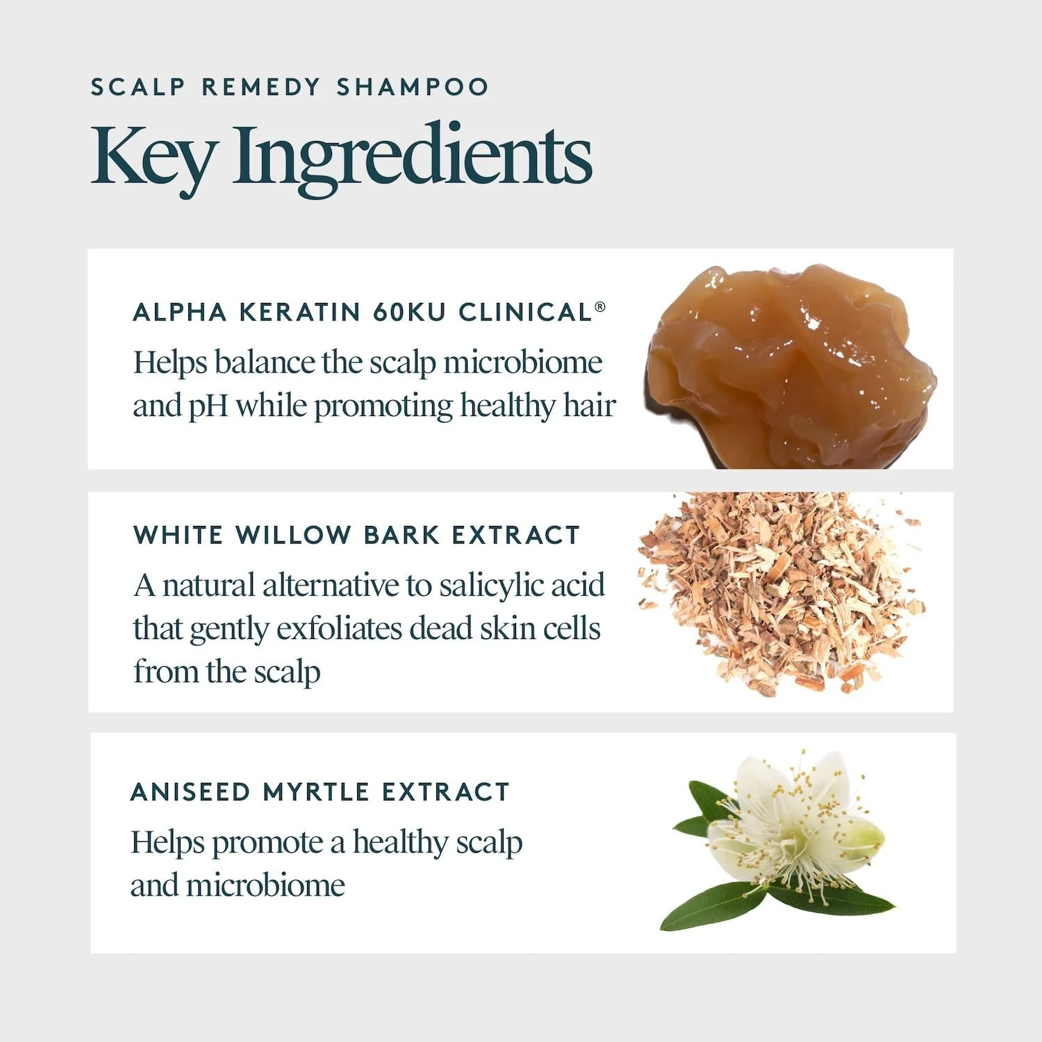 شامپو درمان پوست سر VIRTUE، متعادل کننده میکروبیوم برای پوست سر خشک، چرب و تحریک شده، بدون عطر، ایمن برای انواع مو، محافظ رنگ، 240 میلی لیتر شامپو درمان پوست سر VIRTUE، متعادل کننده میکروبیوم برای پوست سر خشک، چرب و تحریک شده، بدون عطر، ایمن برای انواع مو، محافظ رنگ، 240 میلی لیتر