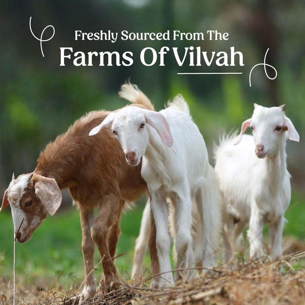 شامپو شیر بز ویلوه استور مناسب برای انواع موهای صاف، موج دار، فر - عالی برای موهای خشک و آسیب دیده، وز و موخوره، حفظ رطوبت طولانی مدت - 200 میلی لیتر شامپو شیر بز ویلوه استور مناسب برای انواع موهای صاف، موج دار، فر - عالی برای موهای خشک و آسیب دیده، وز و موخوره، حفظ رطوبت طولانی مدت - 200 میلی لیتر