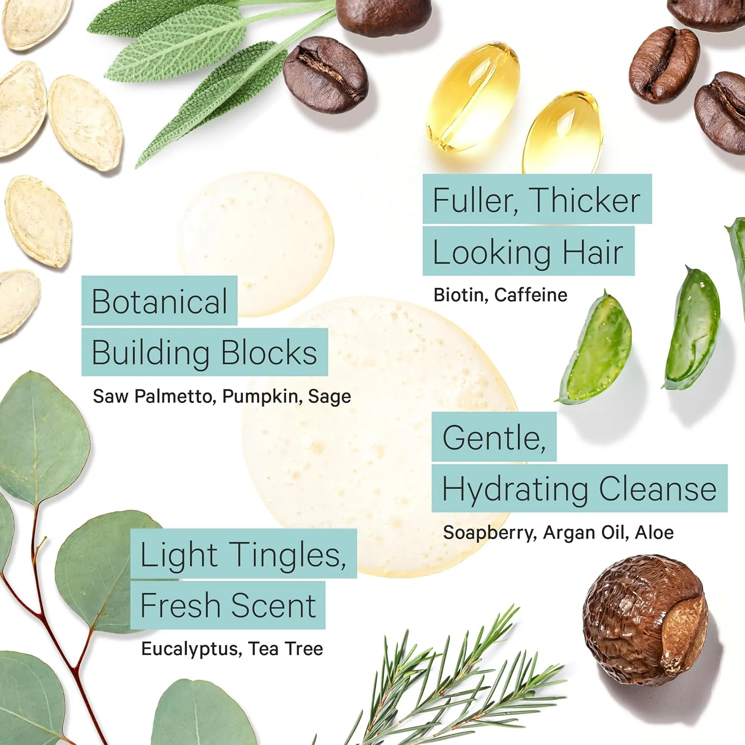 شامپو ضخیم کننده موهای نازک حاوی بیوتین تری تو توب برای حجم بیشتر و پرتر - شامپو حجم دهنده ملایم بدون سولفات حاوی روغن آرگان برای زنان و مردان حاوی کافئین، نخل اره ای ارگانیک، روغن درخت چای کاملا طبیعی