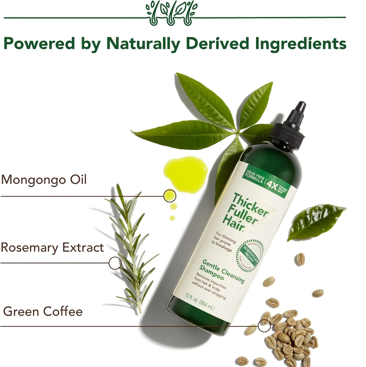 شامپو پاک کننده ملایم موهای ضخیم تر و پرپشت تر، محلول ضخیم کننده پیشرفته - 355 میلی لیتر - ناخالصی ها را از مو و پوست سر پاک می کند - روغن های مونگونگو و قهوه سبز موها را تقویت کرده و شکستگی را کاهش می دهند.