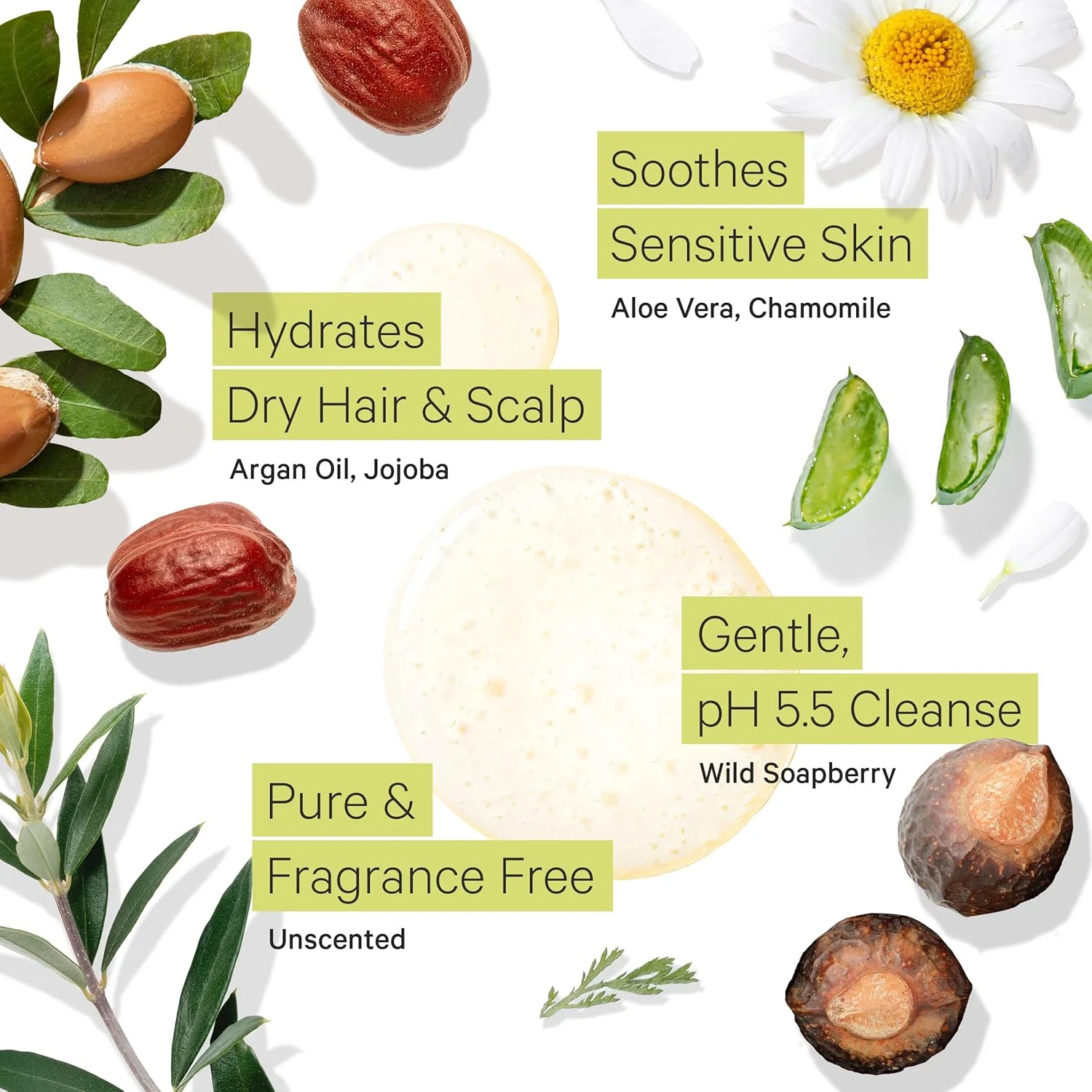 شامپو بدون عطر Tree to Tub برای پوست سر خشک و حساس - شامپو آبرسان ملایم و بدون بو برای موهای زنان و مردان، شامپو مرطوب کننده بدون سولفات با روغن آرگان ارگانیک و آلوئه ورا کاملا طبیعی