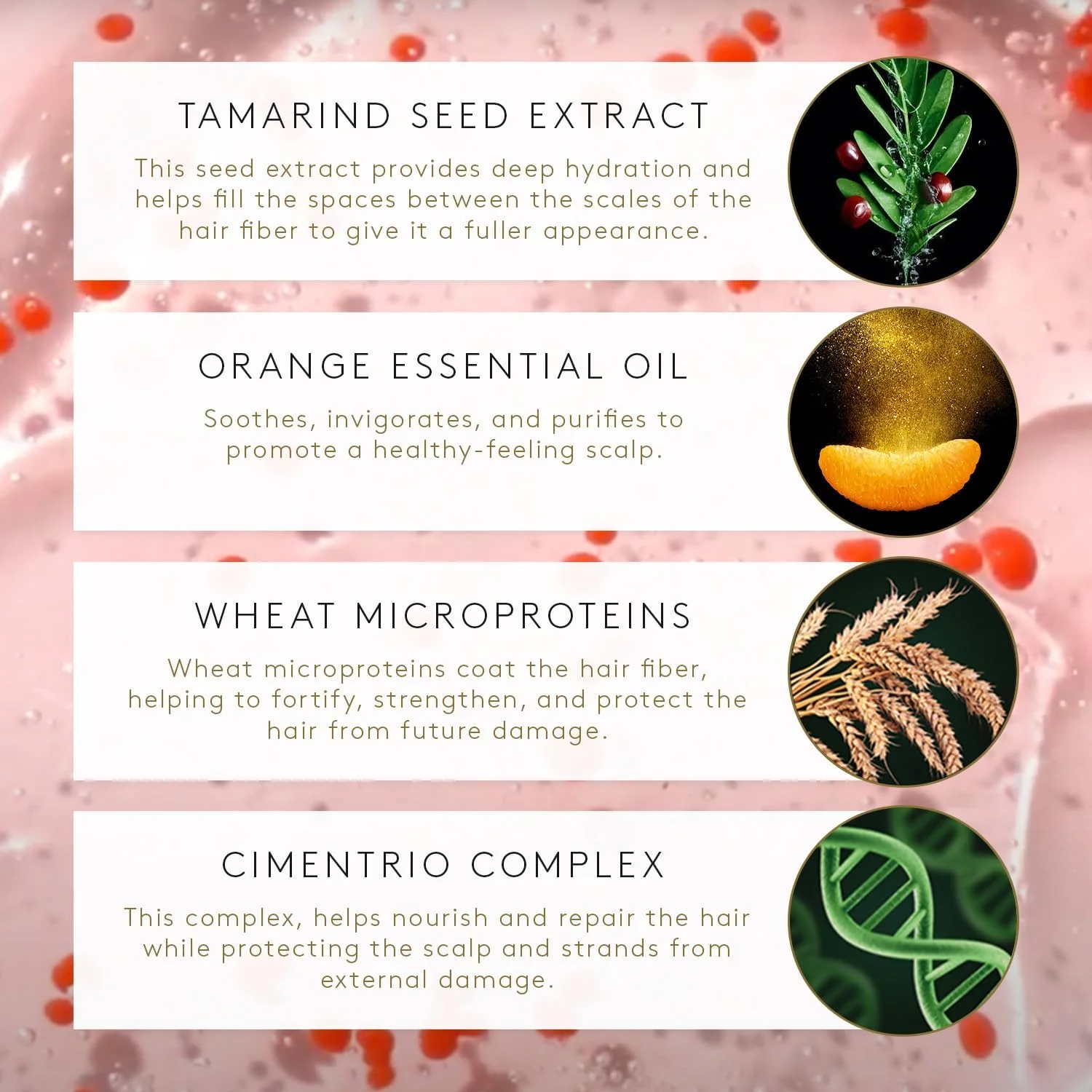 شامپو پرکننده طبیعی تونوسیا رنه فورترر، 200 میلی لیتر | کمک به حجیم و متراکم کردن فیبر مو | برای موهای نازک، زبر، خشک و شکننده