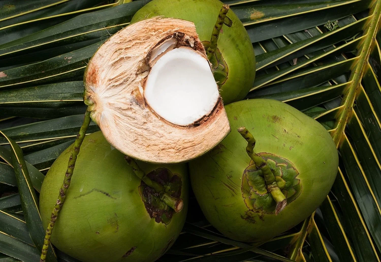 شامپو پاک کننده ضد شوره نوک، تست شده از نظر نیکل، کروم، کبالت، 500 میلی لیتر