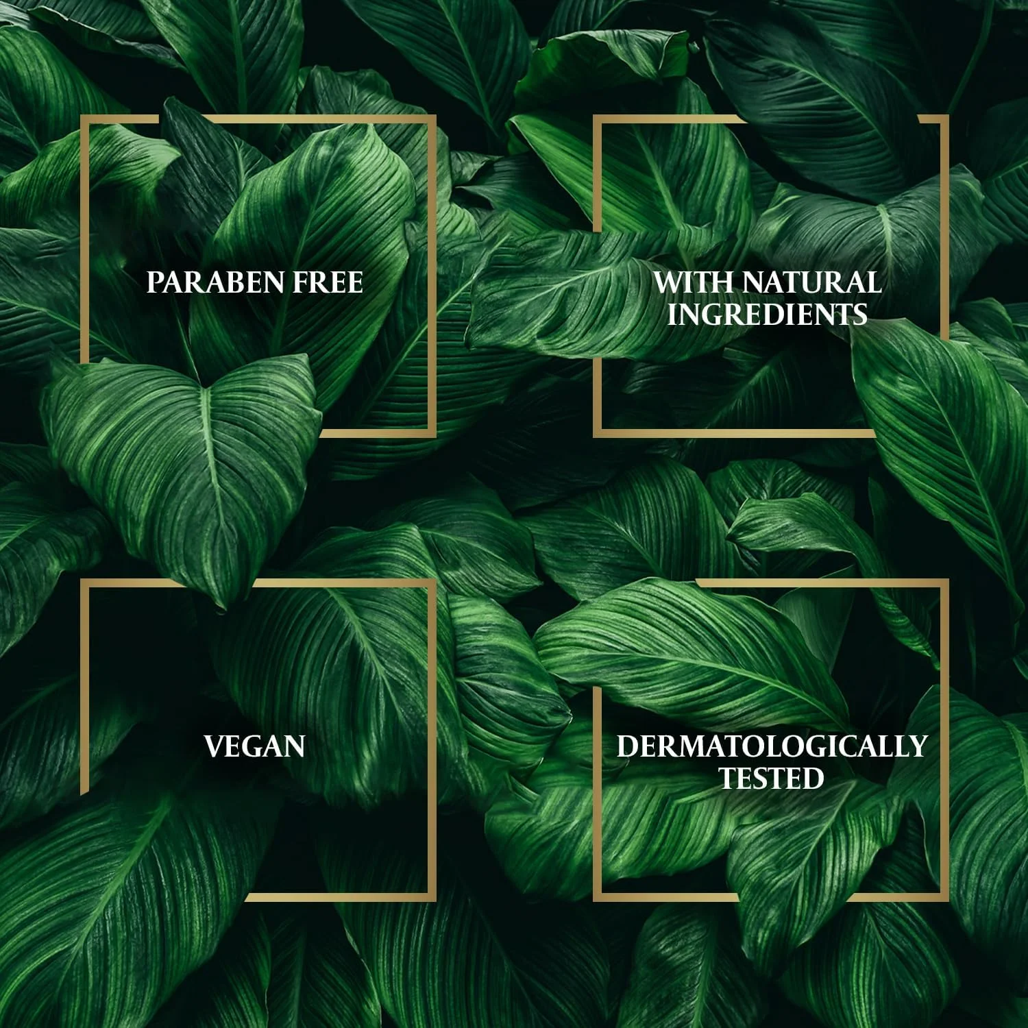 شامپو ضد شوره سر نارگیل و رزماری پاراشوت ادونسد، تغذیه کننده مو و سم زدایی پوست سر، مبارزه با شوره سر مقاوم، 0% مواد شیمیایی مضر، 340 میلی لیتر (بسته 2 عددی)