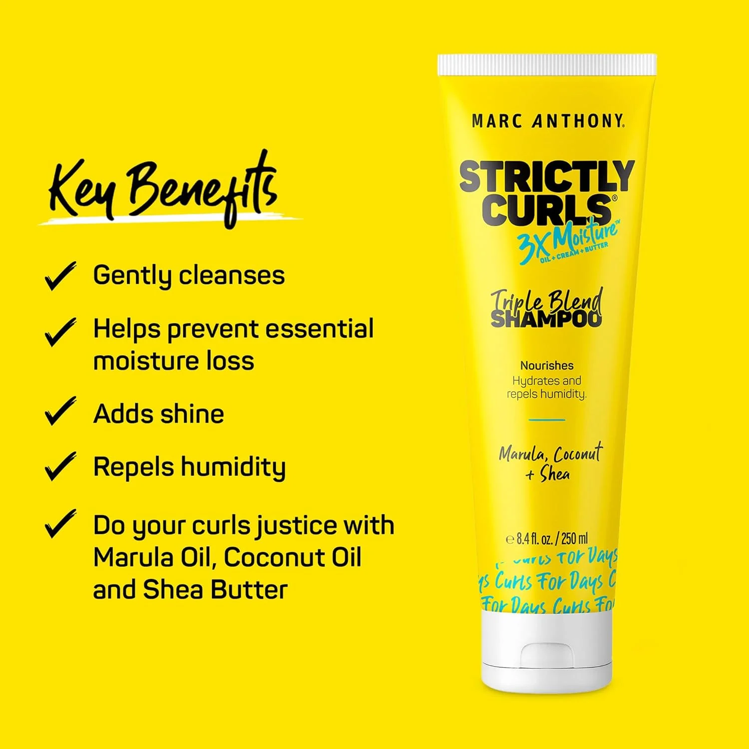 شامپو مارک آنتونی Strictly Curls 3x Moisture برای مشخص کردن و تقویت فر مو - حاوی شی باتر، روغن مارولا، آلوئه ورا و کرم نارگیل - شامپو بدون سولفات و محافظ رنگ مو برای موهای فر خشک و آسیب دیده