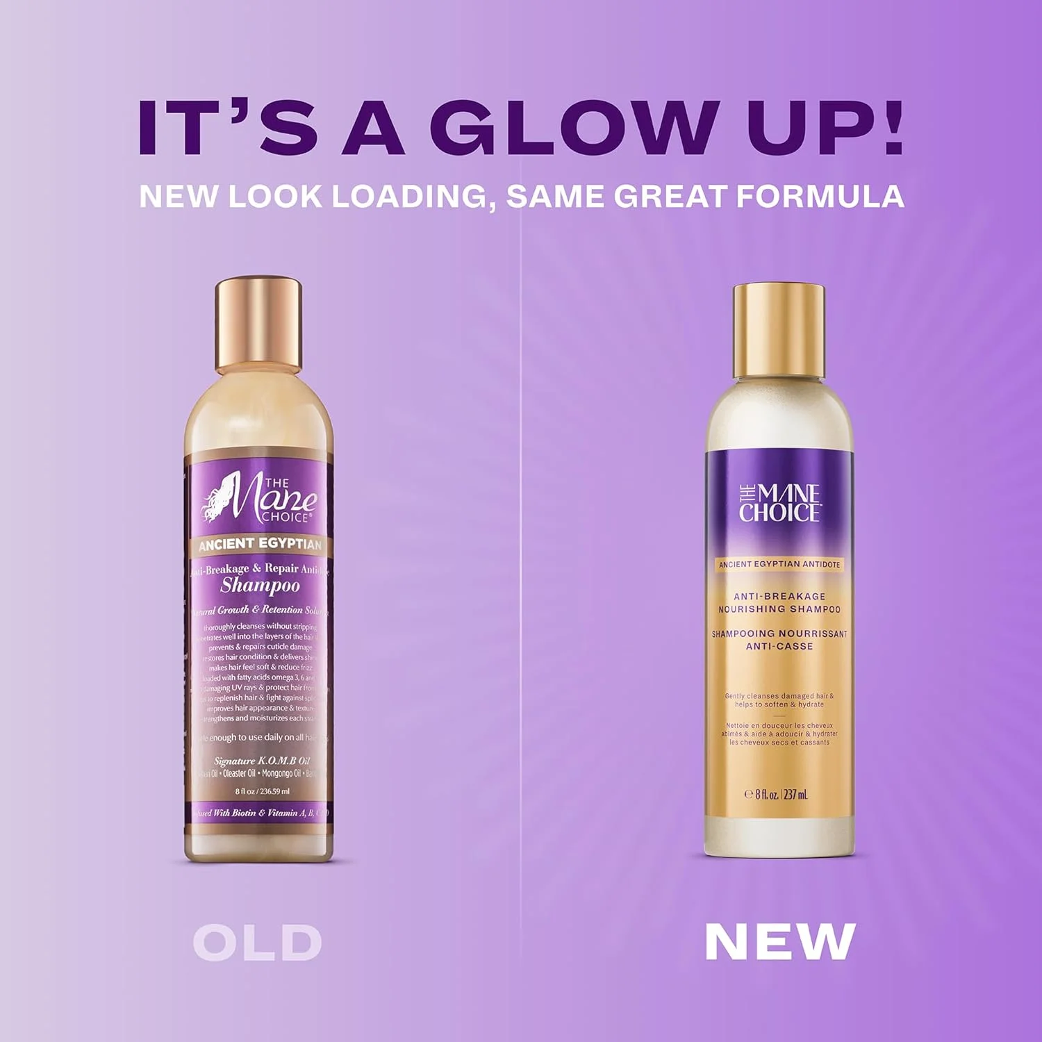 شامپو ضد شکستگی و ترمیم کننده مو باستانی مصری The Mane Choice (236 میلی لیتر)