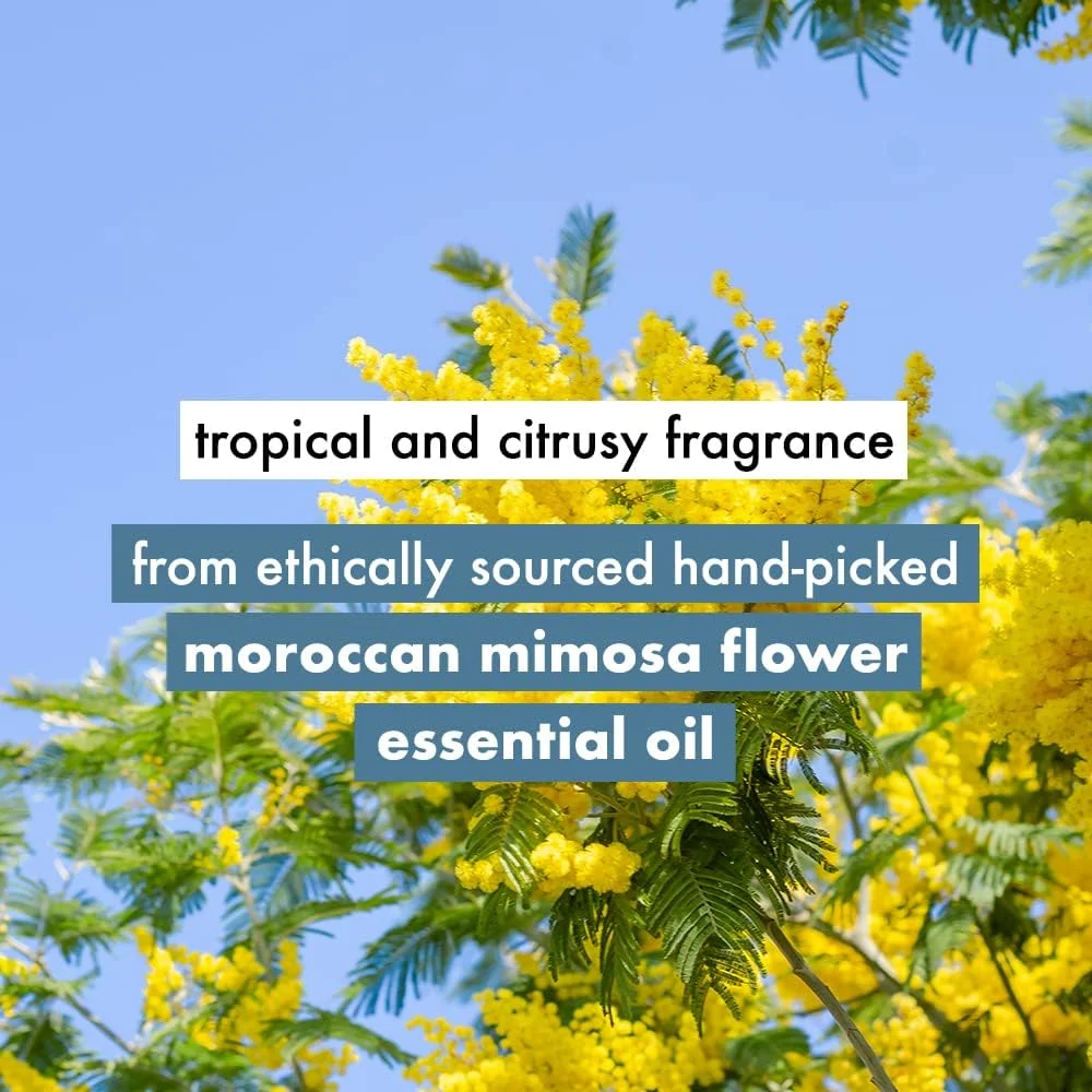 شامپو حجم دهنده فاقد سولفات Love Beauty And Planet با آب نارگیل و گل میموزا || بدون پارابن || بدون رنگ || 100% روغن نارگیل ارگانیک || 200 میلی لیتر شامپو حجم دهنده فاقد سولفات Love Beauty And Planet با آب نارگیل و گل میموزا || بدون پارابن || بدون رنگ || 100% روغن نارگیل ارگانیک || 200 میلی لیتر