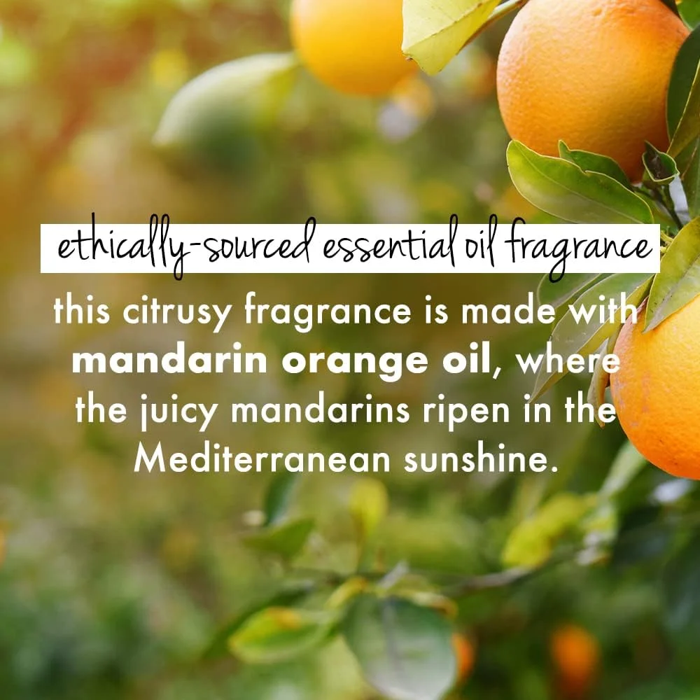 شامپو لاو بیوتی اند پلنت و برگ کاری || بیوتین و نارنگی، فاقد پارابن و سولفات، برای موهای بلند و قوی || 200 میلی لیتر