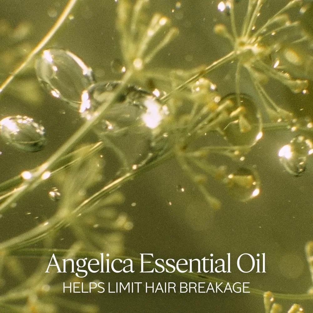 شامپو ترمیم کننده قوی 500 میلی لیتر