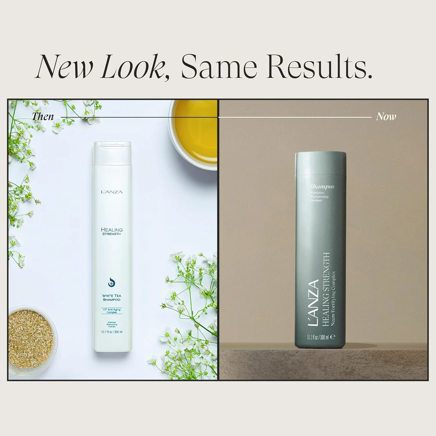 شامپو چای سفید تقویت کننده L'ANZA، شامپو مو که موهای ضعیف، شکننده و پیر را در برابر موخوره و وز شدن تقویت، محافظت و ترمیم می کند، مراقبت لوکس مو (10.1 Fl Oz)