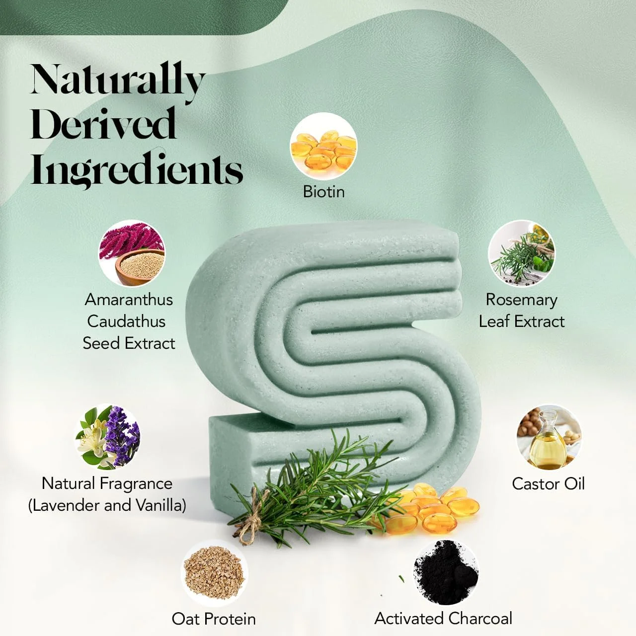 شامپو بار رزماری و بیوتین حجم دهنده کیچ برای رشد مو، تقویت و ضخیم شدن مو، شامپو بار رزماری طبیعی برای انواع مو، ساخت آمریکا، وگان، بدون پارابن، سولفات و تست حیوانی شامپو بار رزماری و بیوتین حجم دهنده کیچ برای رشد مو، تقویت و ضخیم شدن مو، شامپو بار رزماری طبیعی برای انواع مو، ساخت آمریکا، وگان، بدون پارابن، سولفات و تست حیوانی