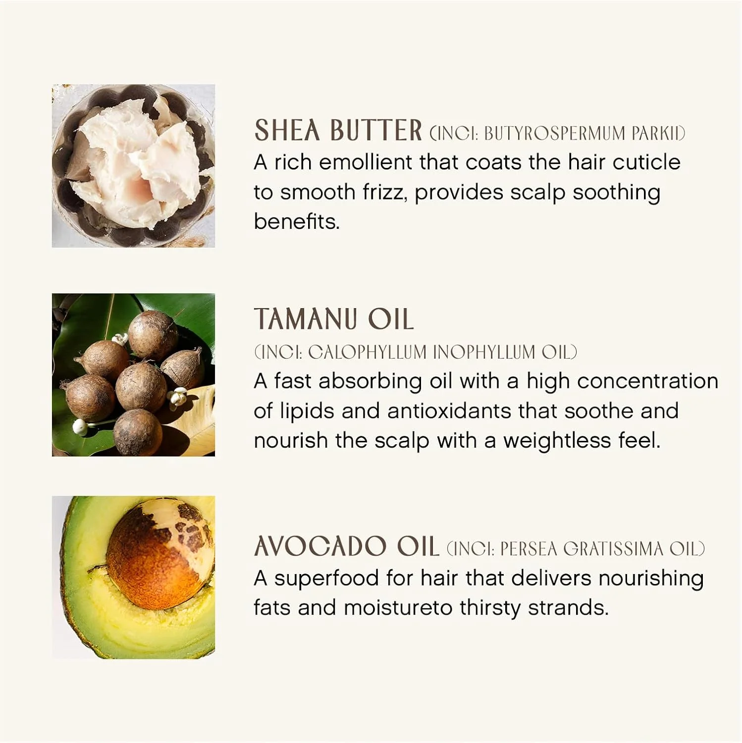 شامپو آبرسان مو ارگانیک اینرسنس (295 میلی لیتر) - مناسب موهای ضخیم، زبر و خشک - فاقد سیلیکون، پارابن، سولفات، گلوتن و بدون تست حیوانی - مراقبت از مو - شامپو شامپو آبرسان مو ارگانیک اینرسنس (295 میلی لیتر) - مناسب موهای ضخیم، زبر و خشک - فاقد سیلیکون، پارابن، سولفات، گلوتن و بدون تست حیوانی - مراقبت از مو - شامپو