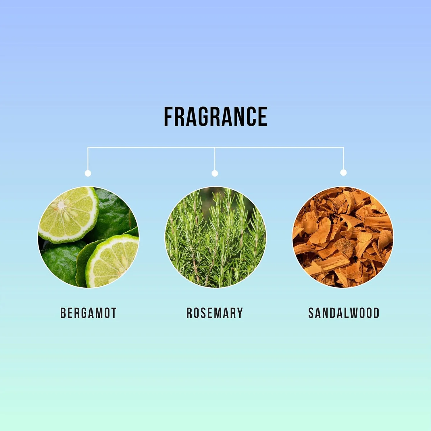 اسکراب پوست سر قبل از شامپو روغن درخت چای و رزماری هاسک مناسب انواع مو، بدون گلوتن، بدون سولفات، بدون پارابن، بدون تست حیوانی، 177 میلی لیتر