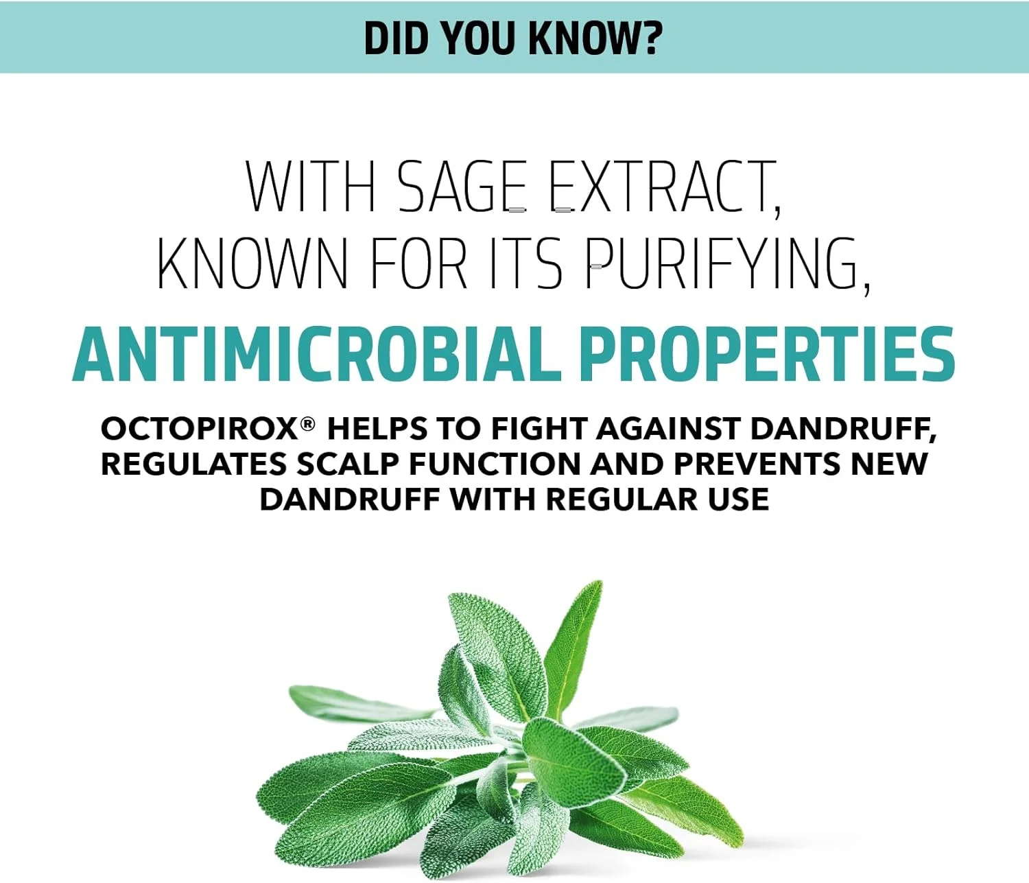 شامپو ضد شوره سر گلدول Dualsenses Scalp Specialist، 250 میلی لیتر شامپو ضد شوره سر گلدول Dualsenses Scalp Specialist، 250 میلی لیتر