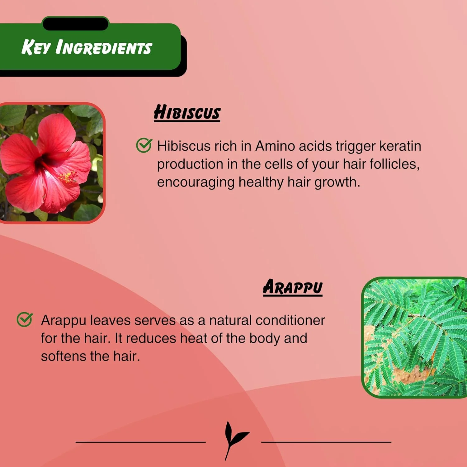 شامپو سنتی گل بامیه و آراپو گرینز کانسپت، تغذیه کننده پوست سر و درخشان کننده مو، 200 میلی لیتر
