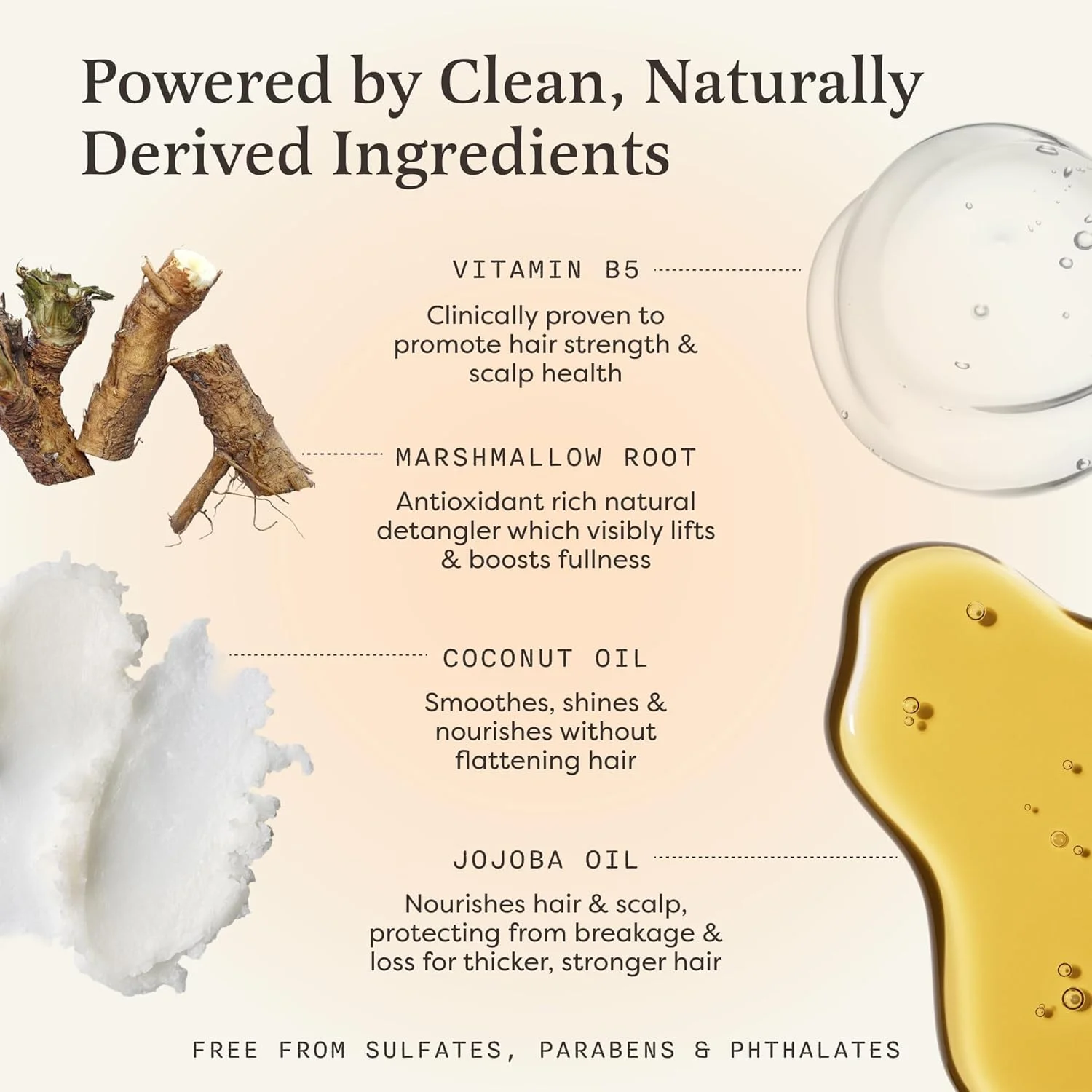 شامپو بار The Earthling Co. - تقویت کننده و حجم دهنده انواع مو - فرمولاسیون فاقد پارابن و سولفات با مواد طبیعی و وگان برای موهای خشک (وانیل وحشی، 85 گرم) شامپو بار The Earthling Co. - تقویت کننده و حجم دهنده انواع مو - فرمولاسیون فاقد پارابن و سولفات با مواد طبیعی و وگان برای موهای خشک (وانیل وحشی، 85 گرم)