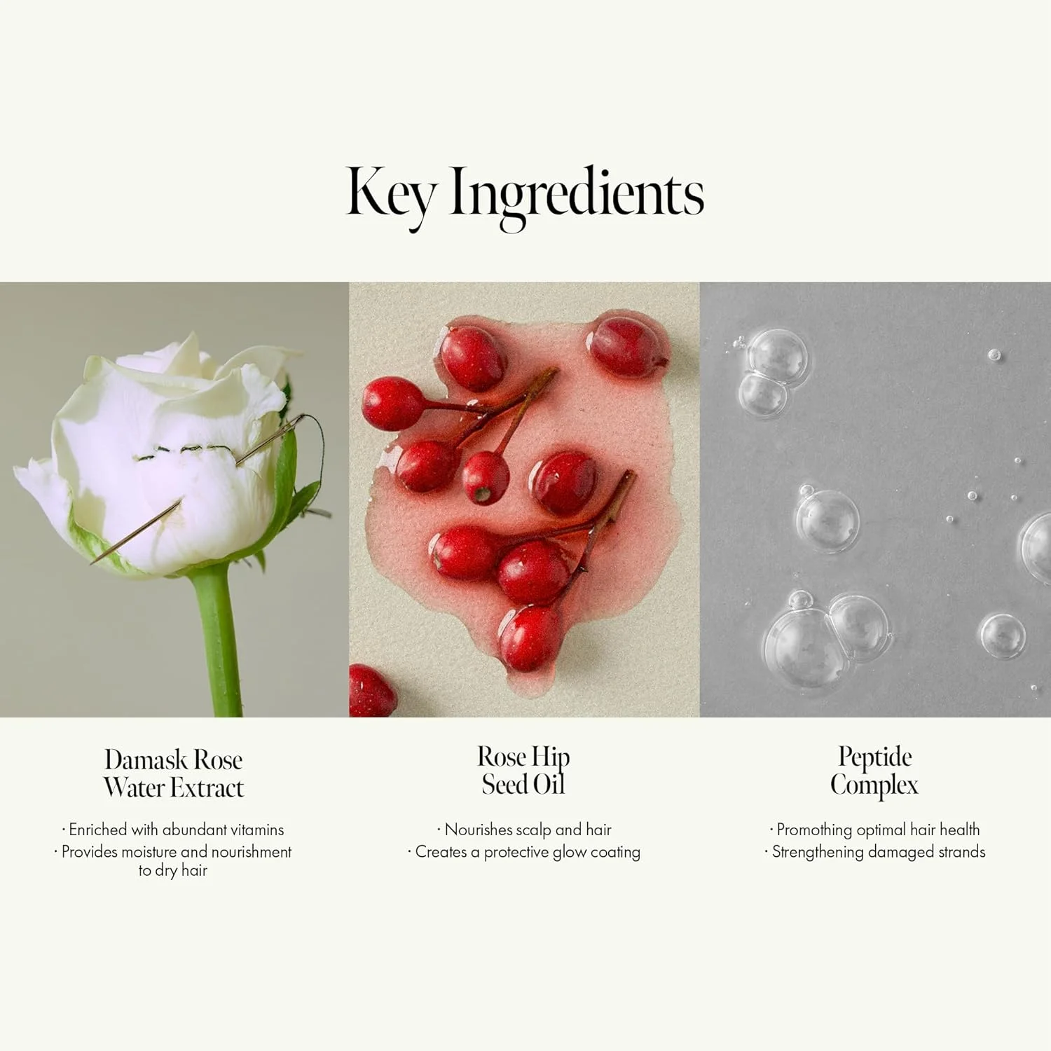 شامپو ترمیم کننده مو ANILLO Rosy Night – ضد شوره و ترمیم کننده آسیب دیدگی با آب گل رز دمشقی و سرامید – ایمن برای موهای رنگ شده، فاقد سیلیکون و سولفات 450 میلی لیتر